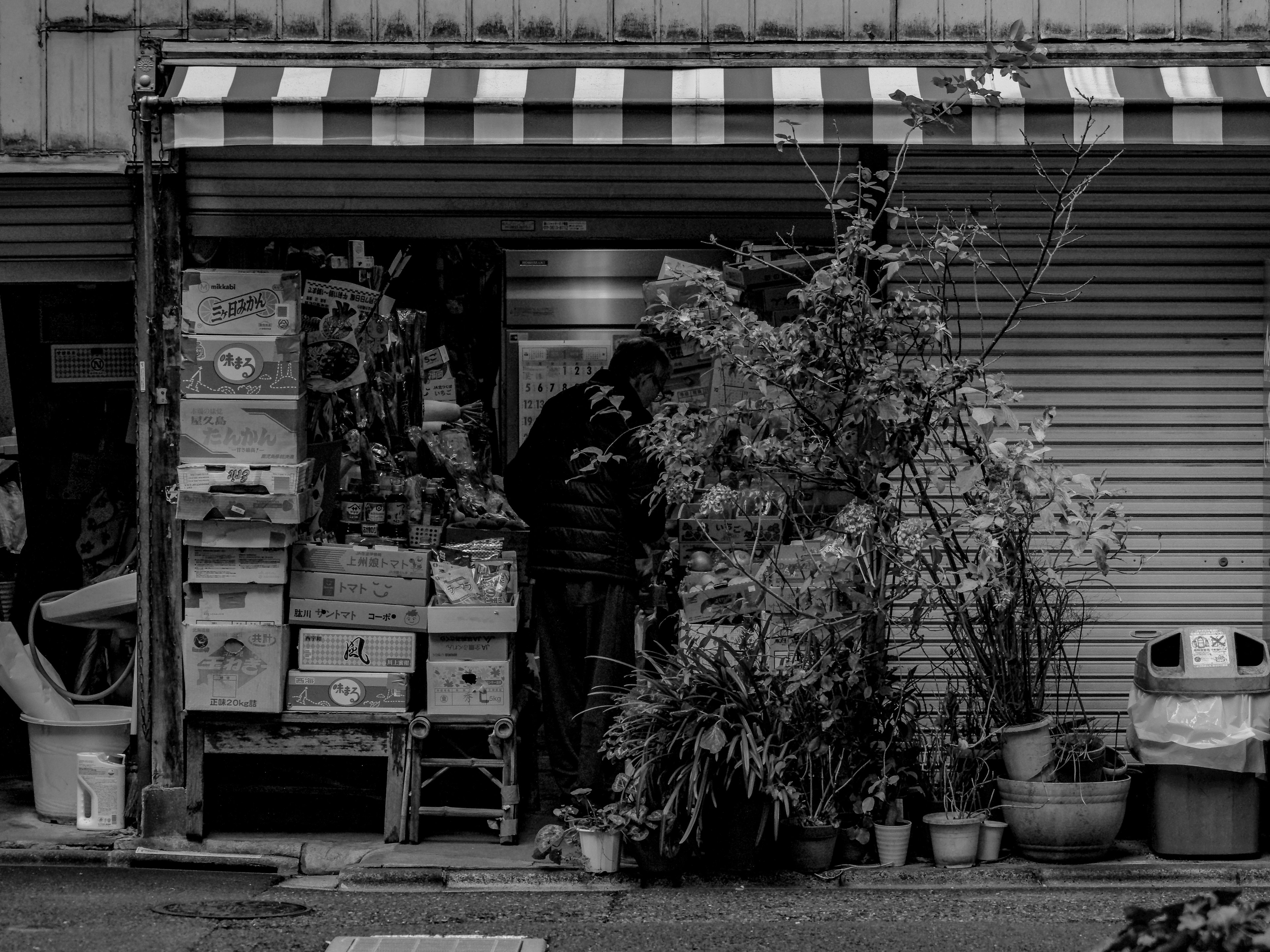 Entrada de una tienda antigua con cajas apiladas y plantas