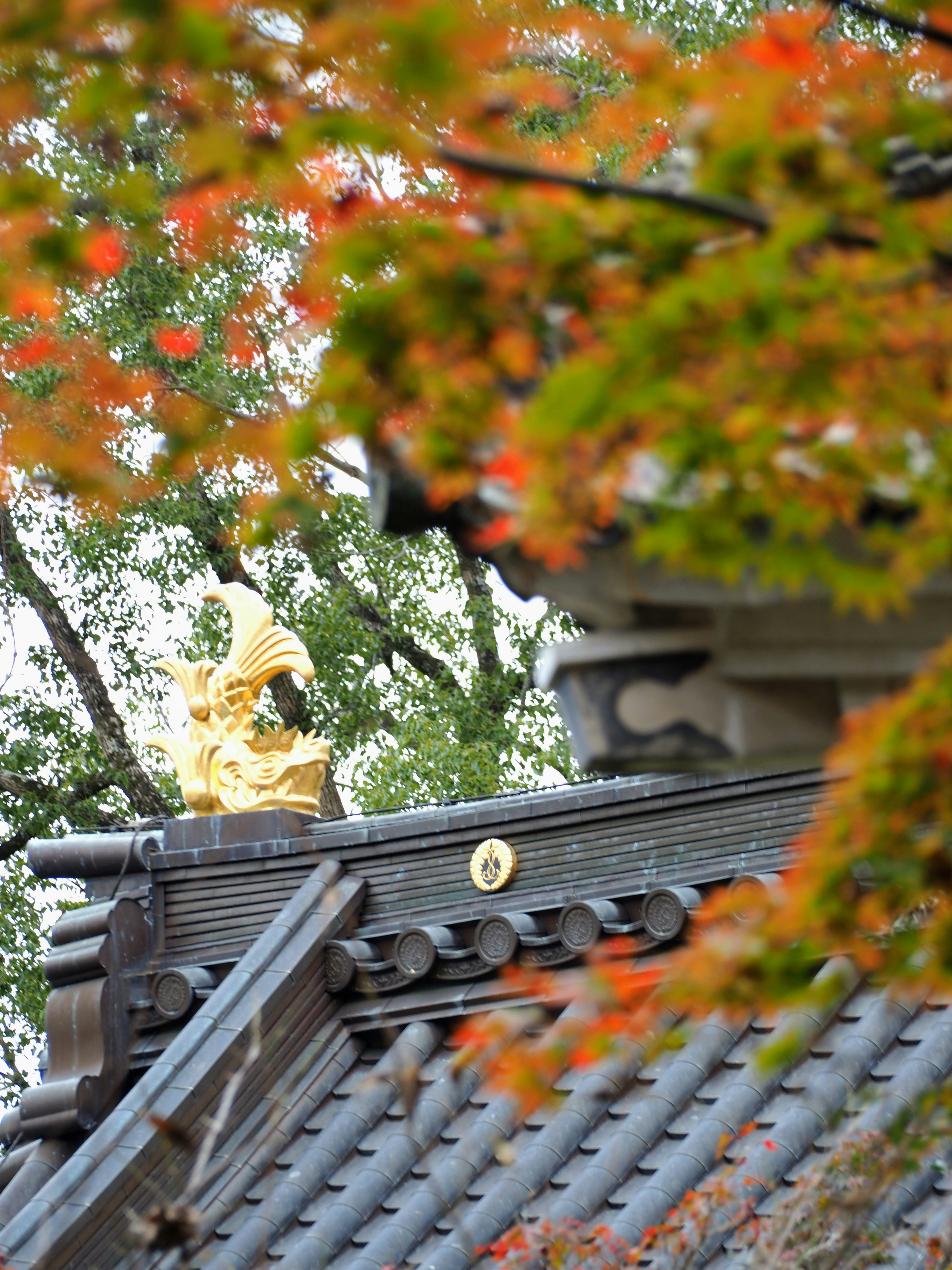 Temple roof surrounded by red leaves and a golden statue