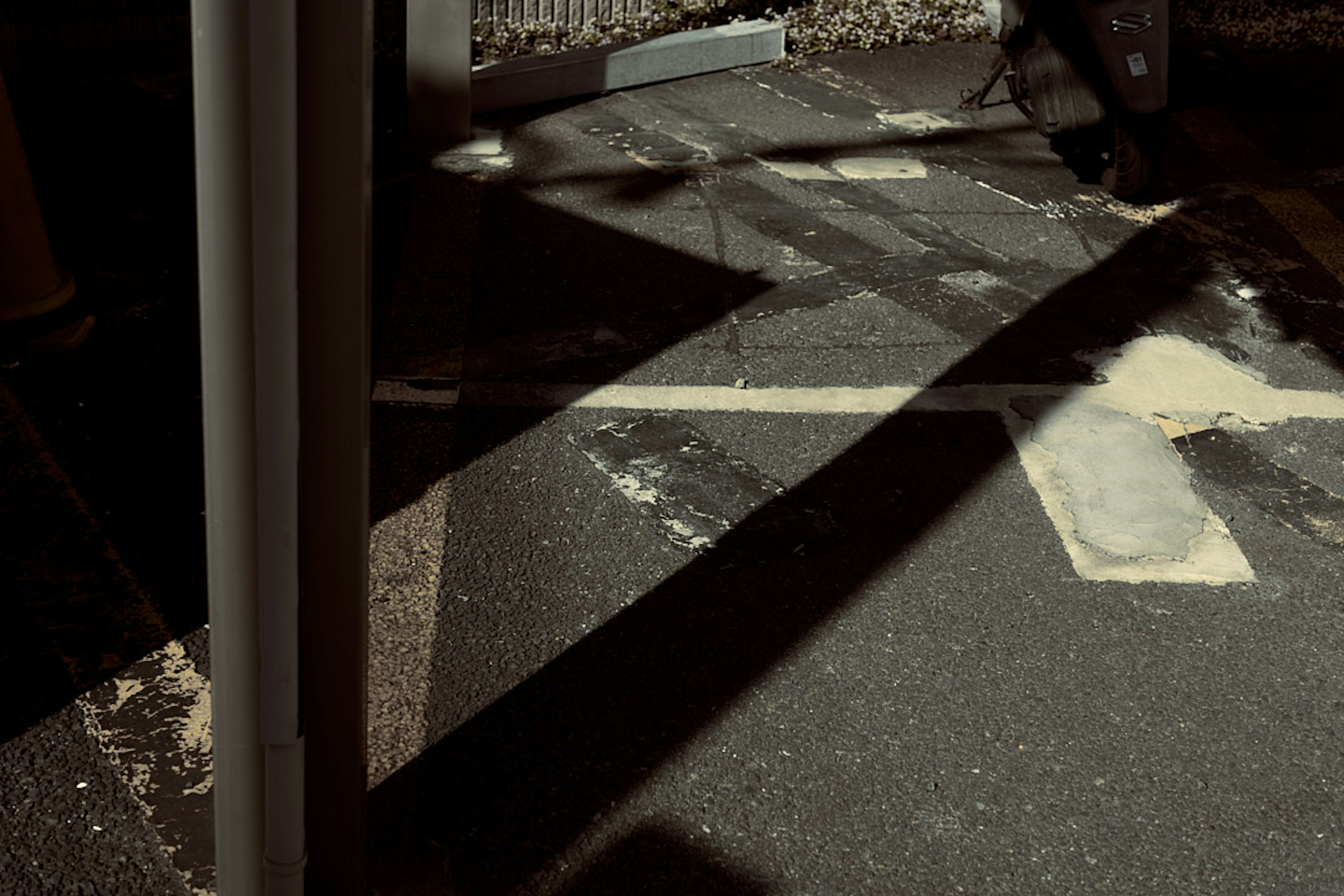 Sombras que se extienden sobre una calle oscura con líneas de cruce blancas