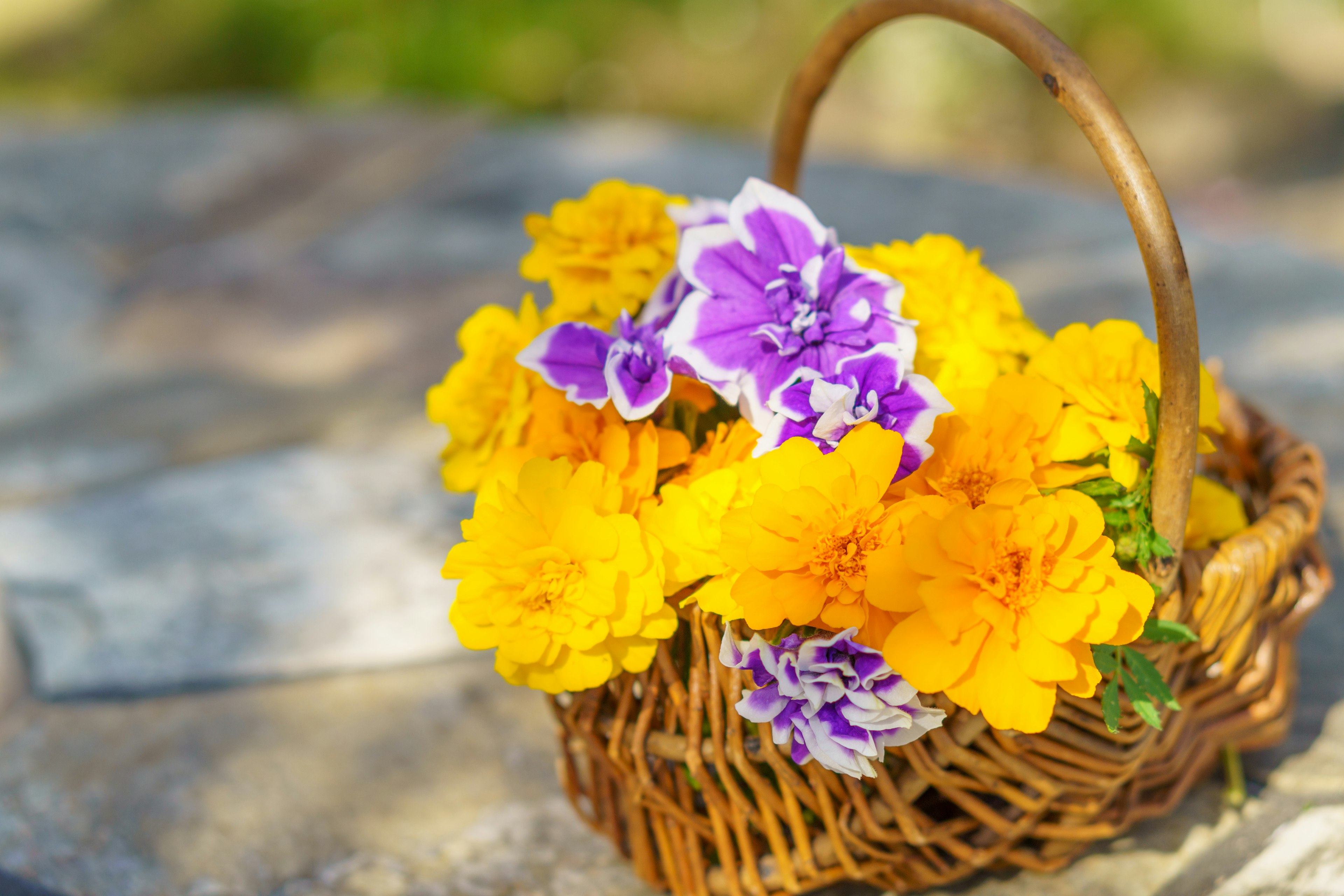 Un panier rempli de fleurs colorées sur une surface en pierre