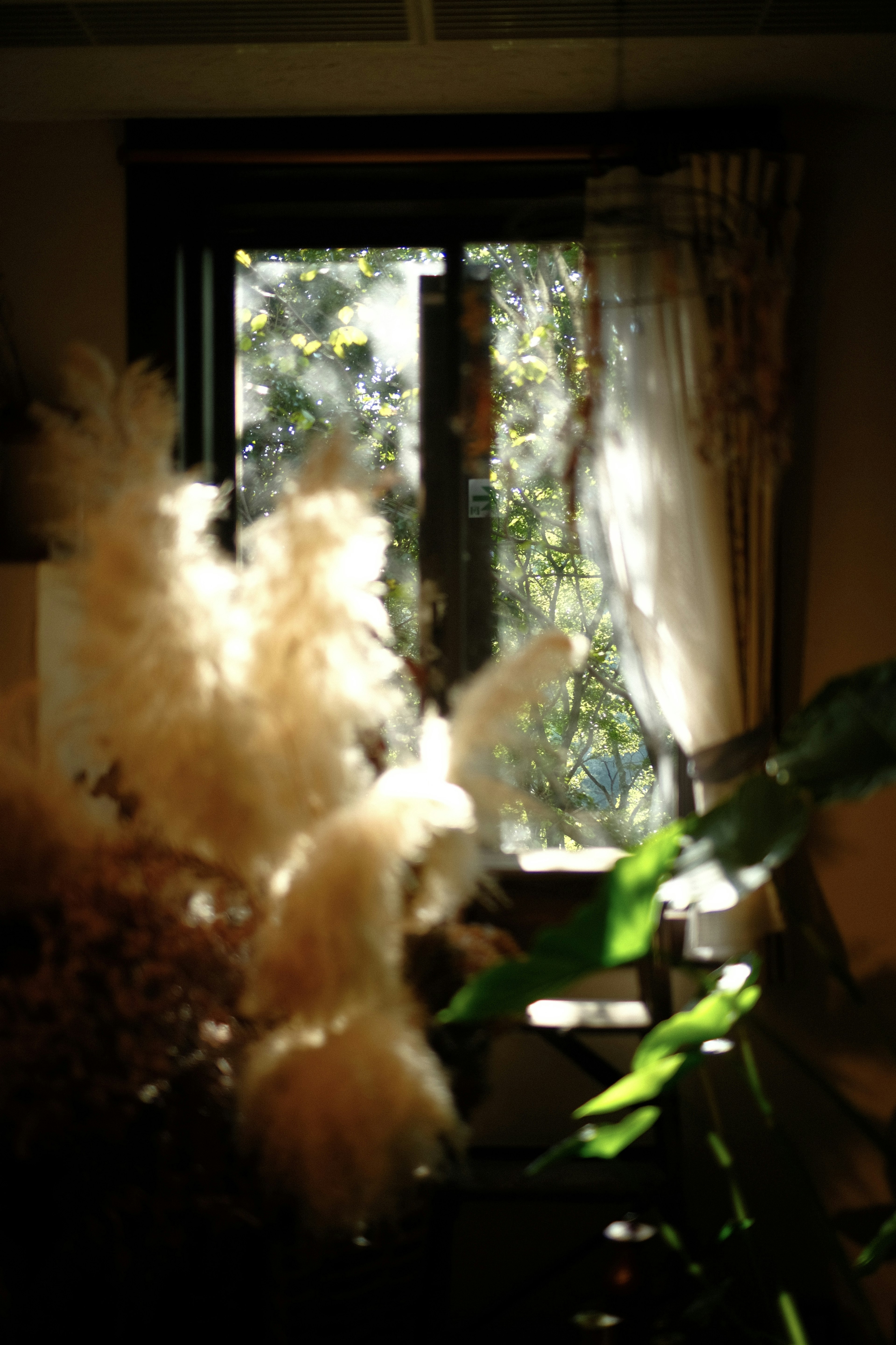 Interior view featuring dried flowers with a window showing outdoor greenery