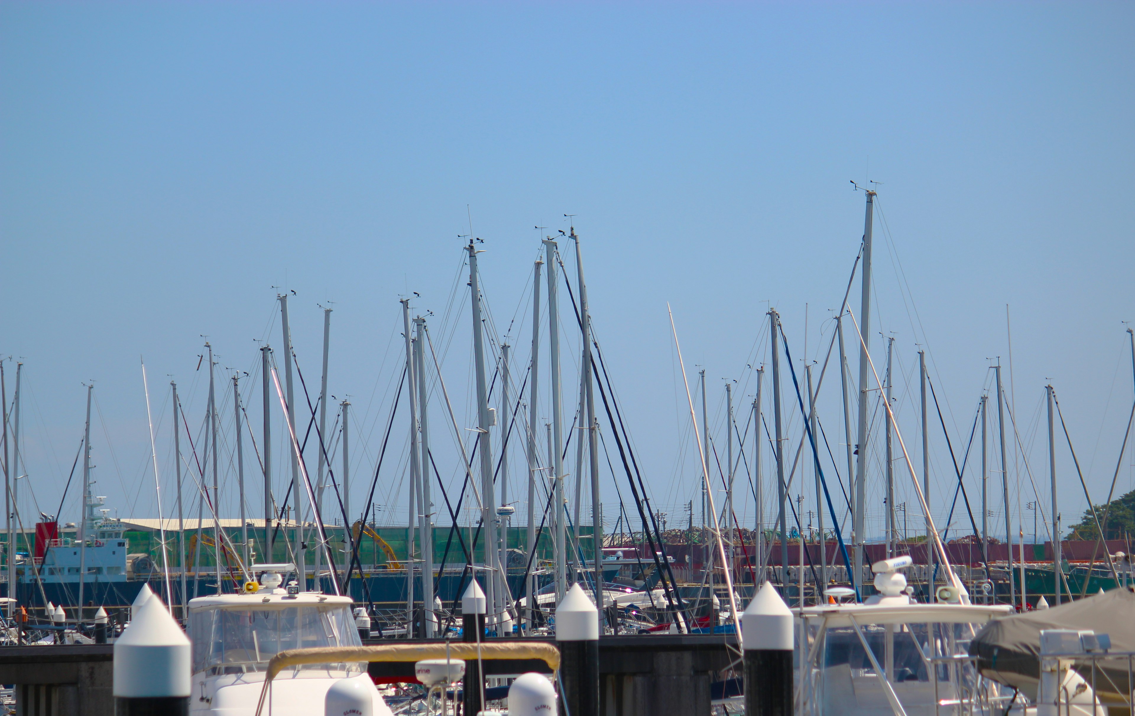 Mâts de yachts sous un ciel bleu clair dans un port