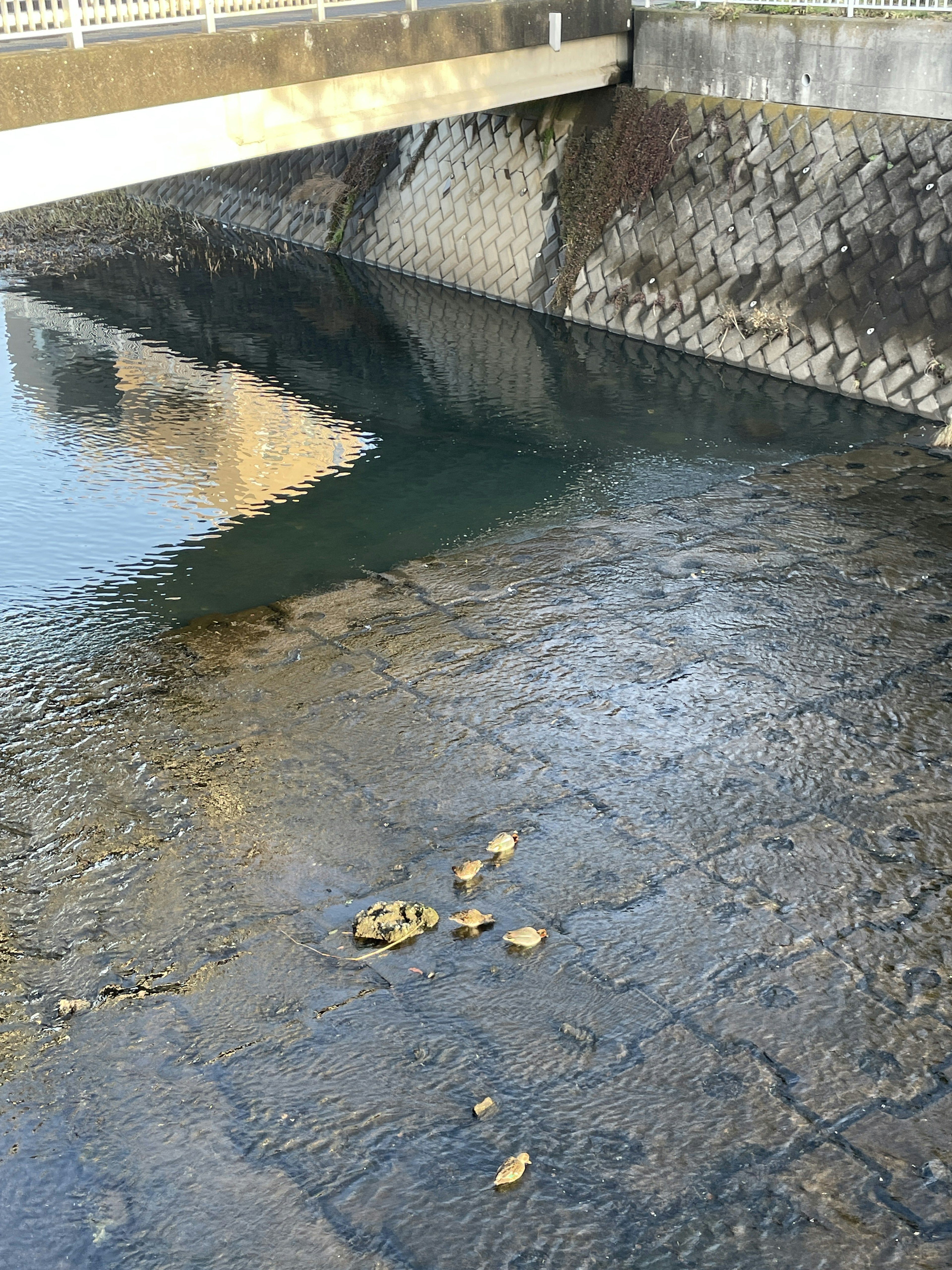 Ruhiges Wasser spiegelt eine Brücke und eine Steinmauer in einer friedlichen Flusslandschaft wider