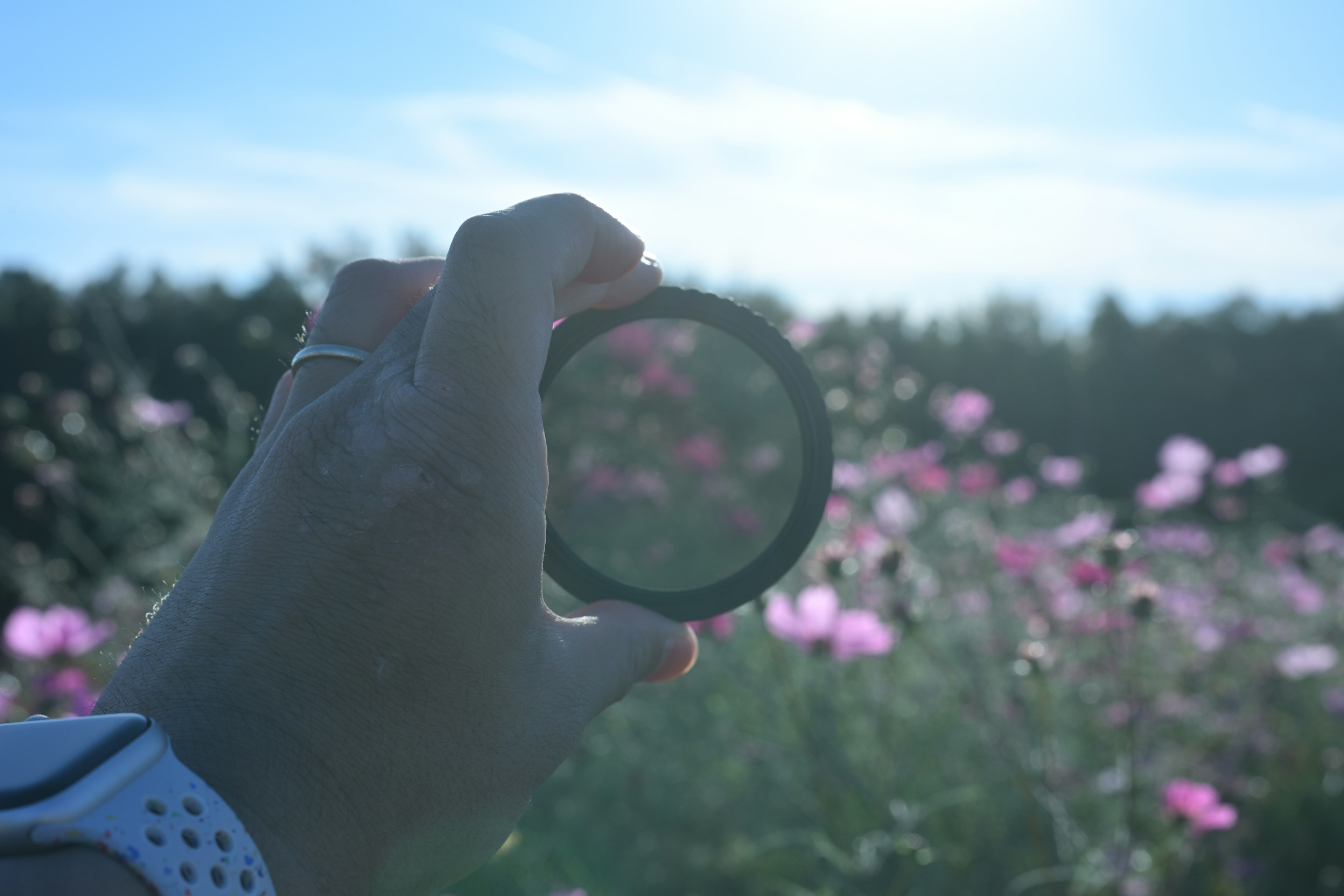 Mano che tiene un filtro con fiori sullo sfondo