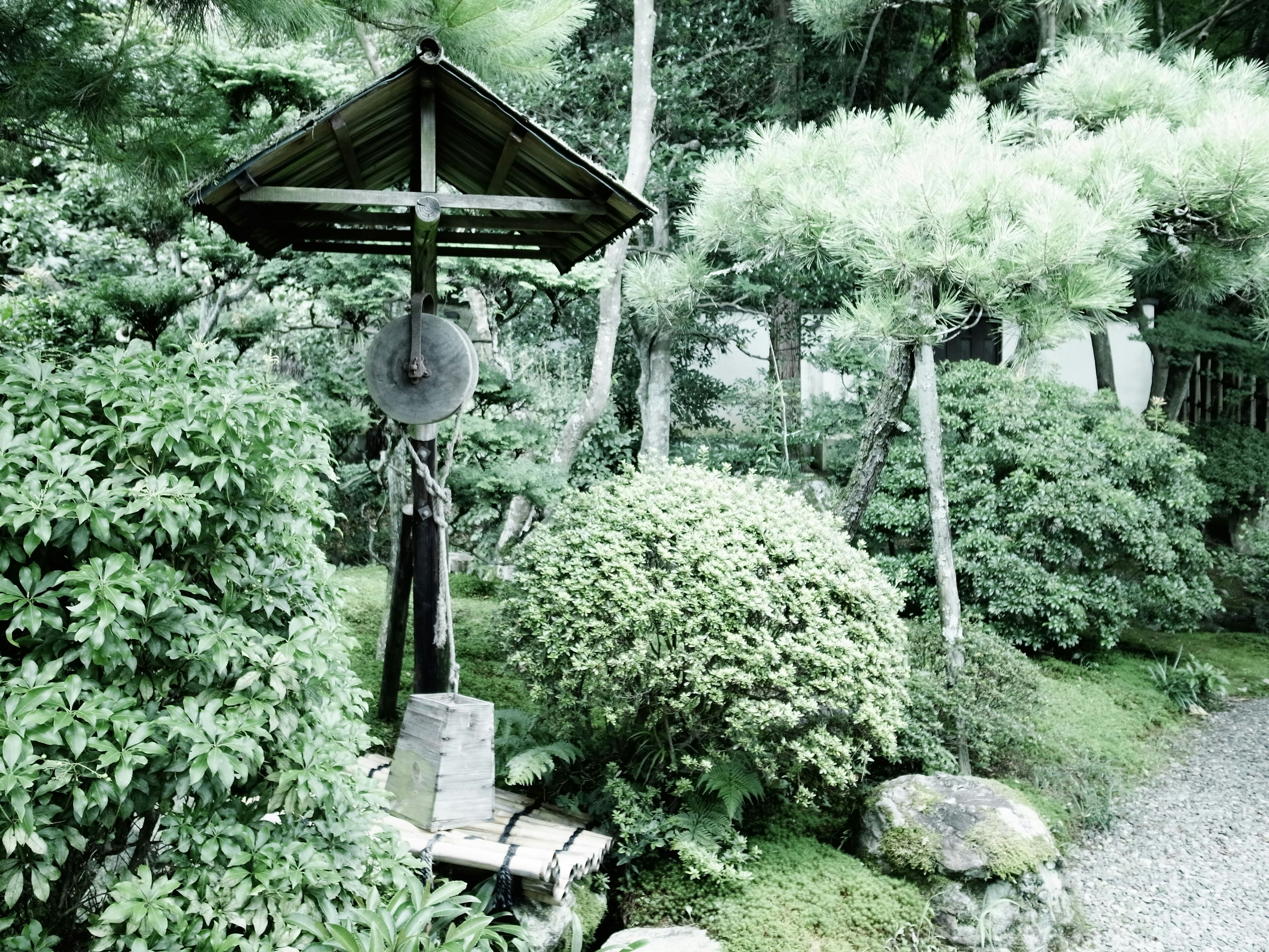 Scène de jardin serein avec une cloche et une végétation luxuriante