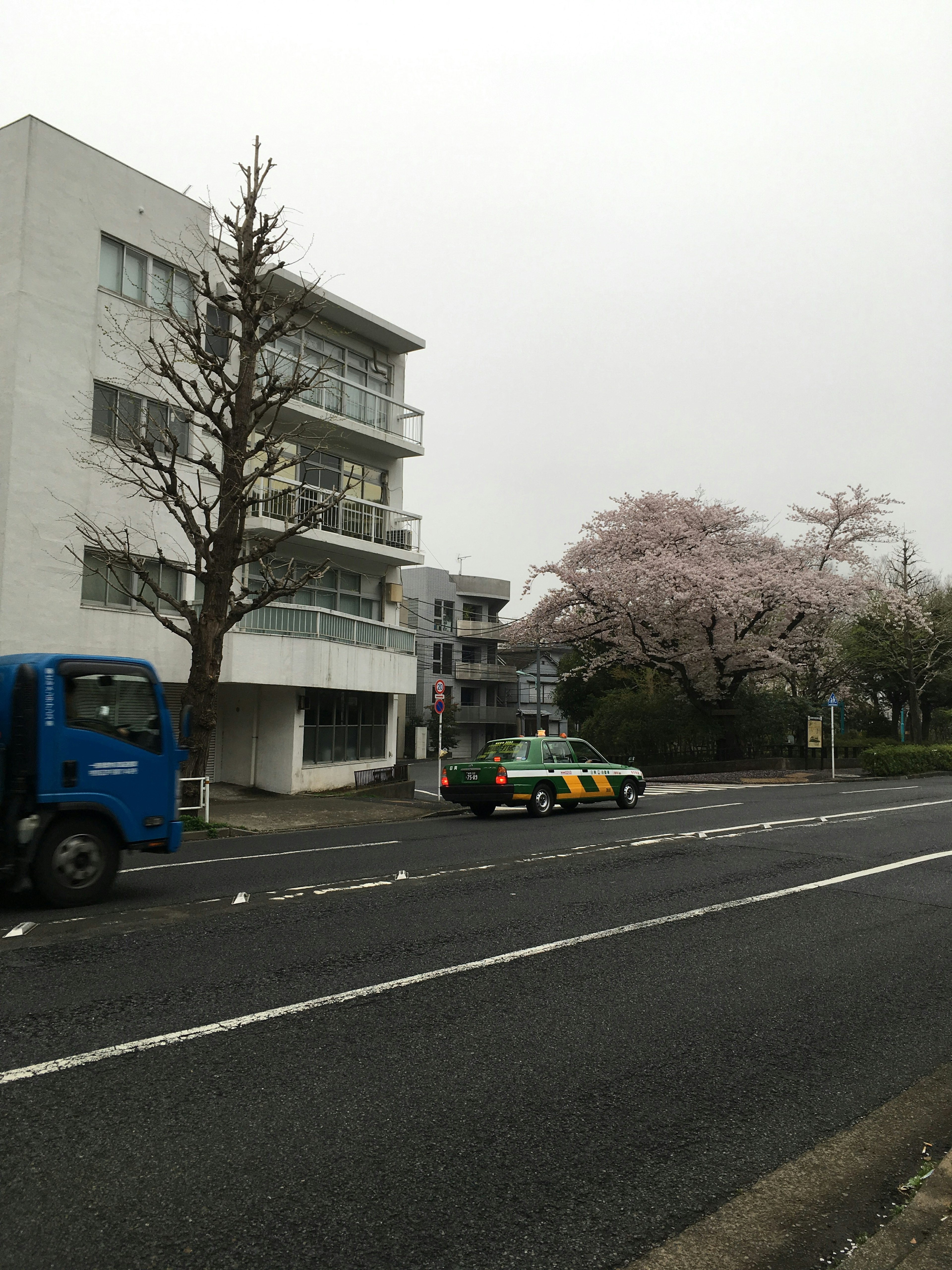 桜の木が咲いている通りの風景青いトラックとタクシーが見える