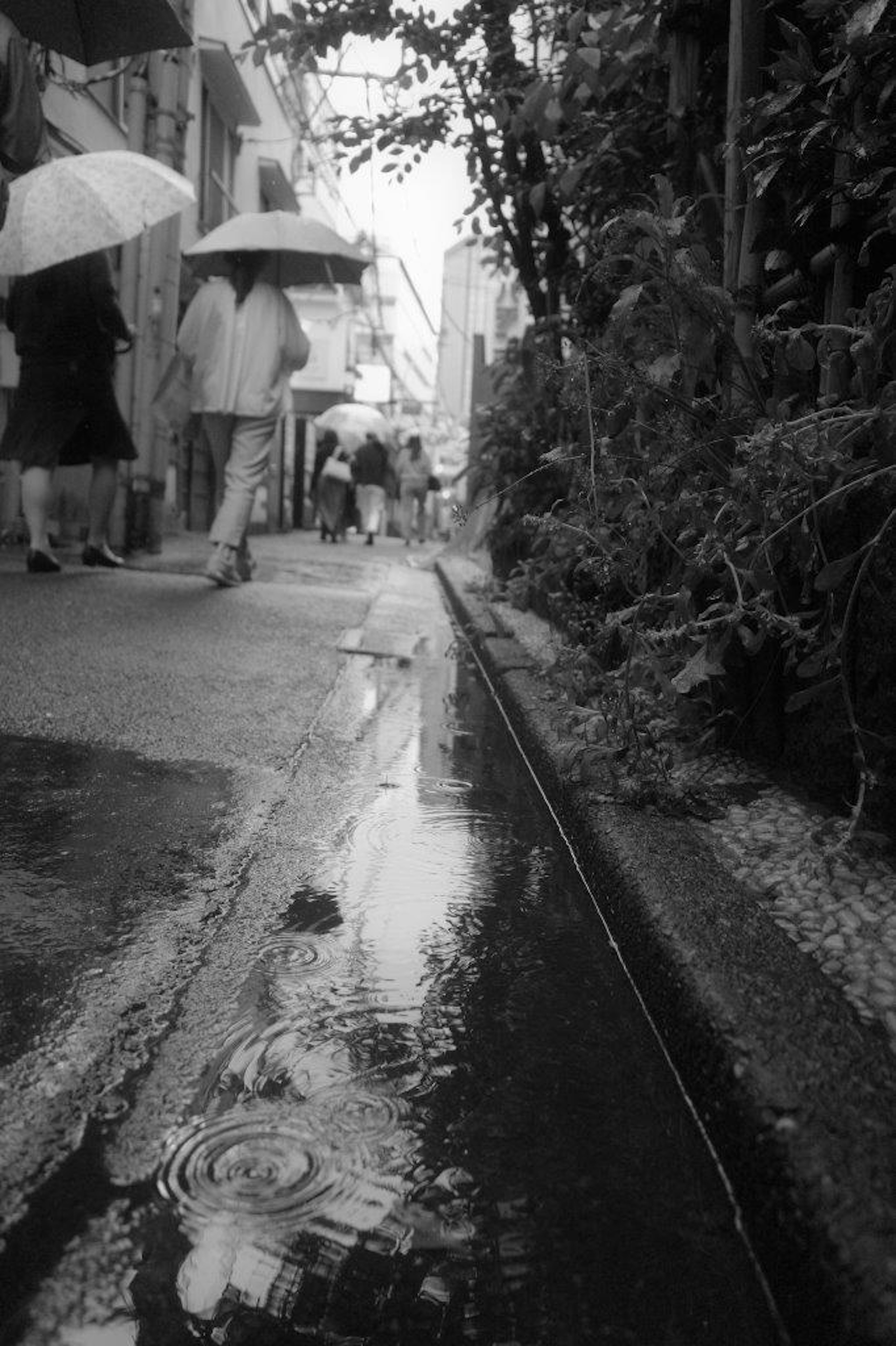 雨の中を歩く人々と水たまりのある道