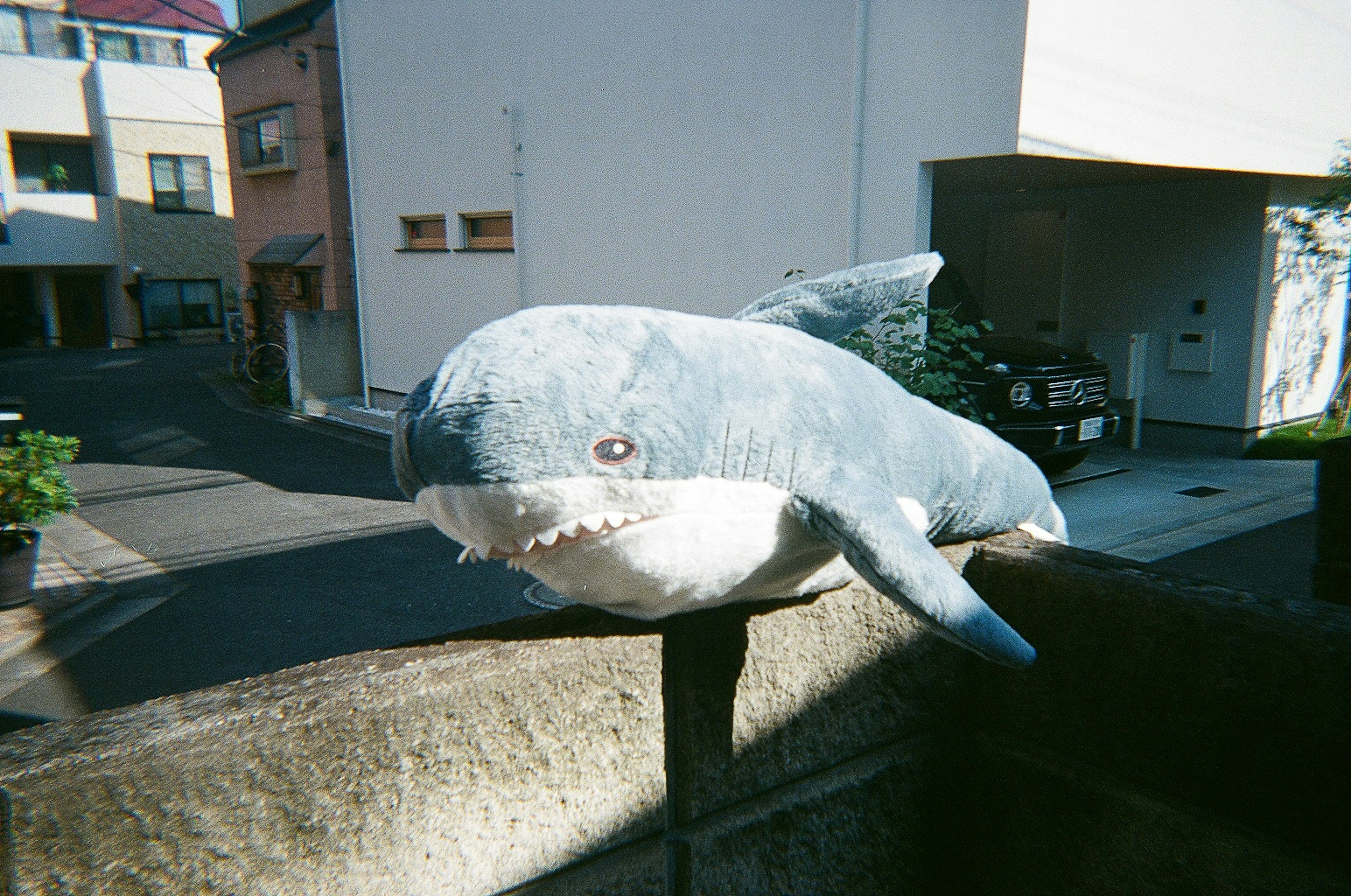 A blue plush whale toy perched on a wall