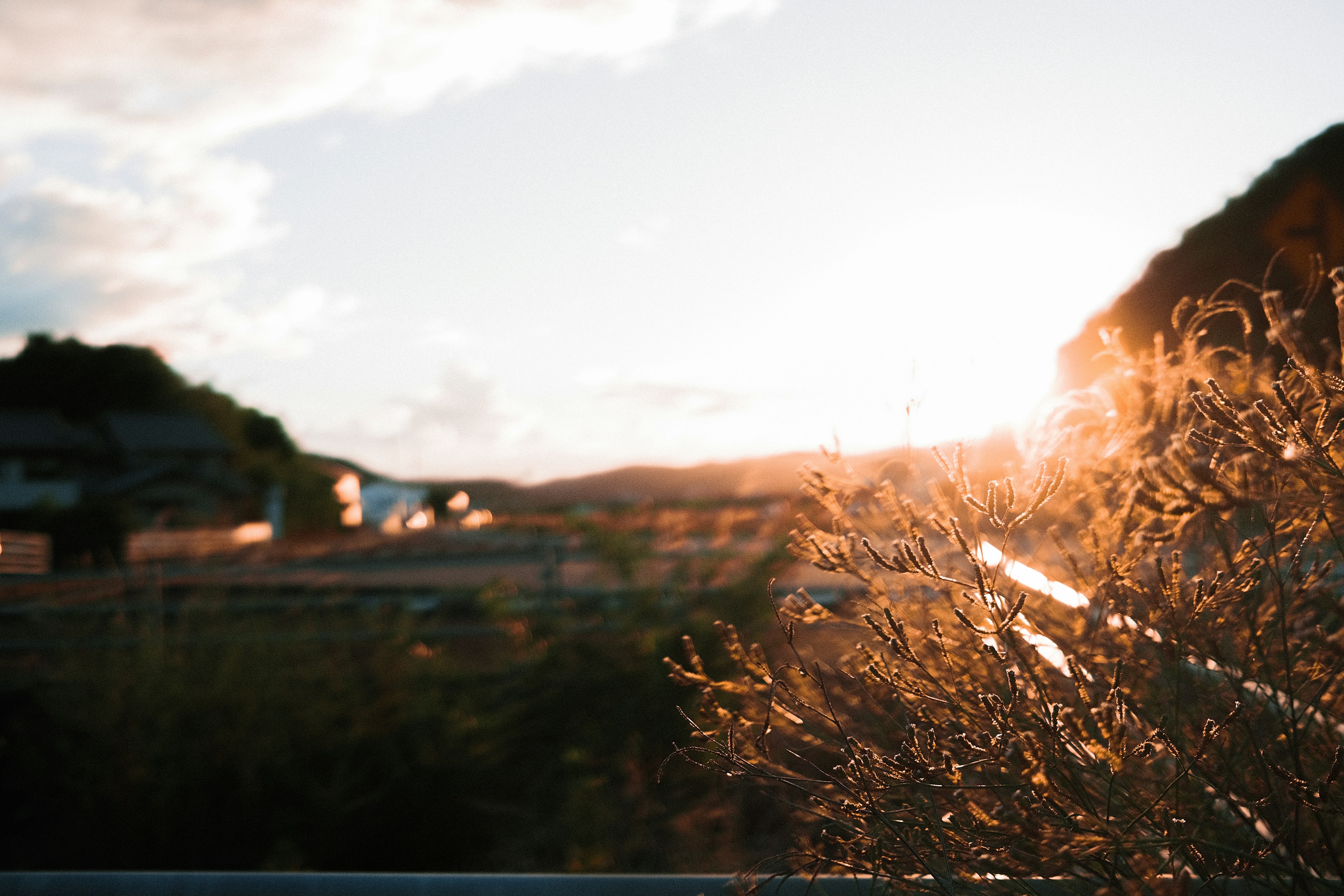 Sunset illuminating a landscape with silhouette of grass