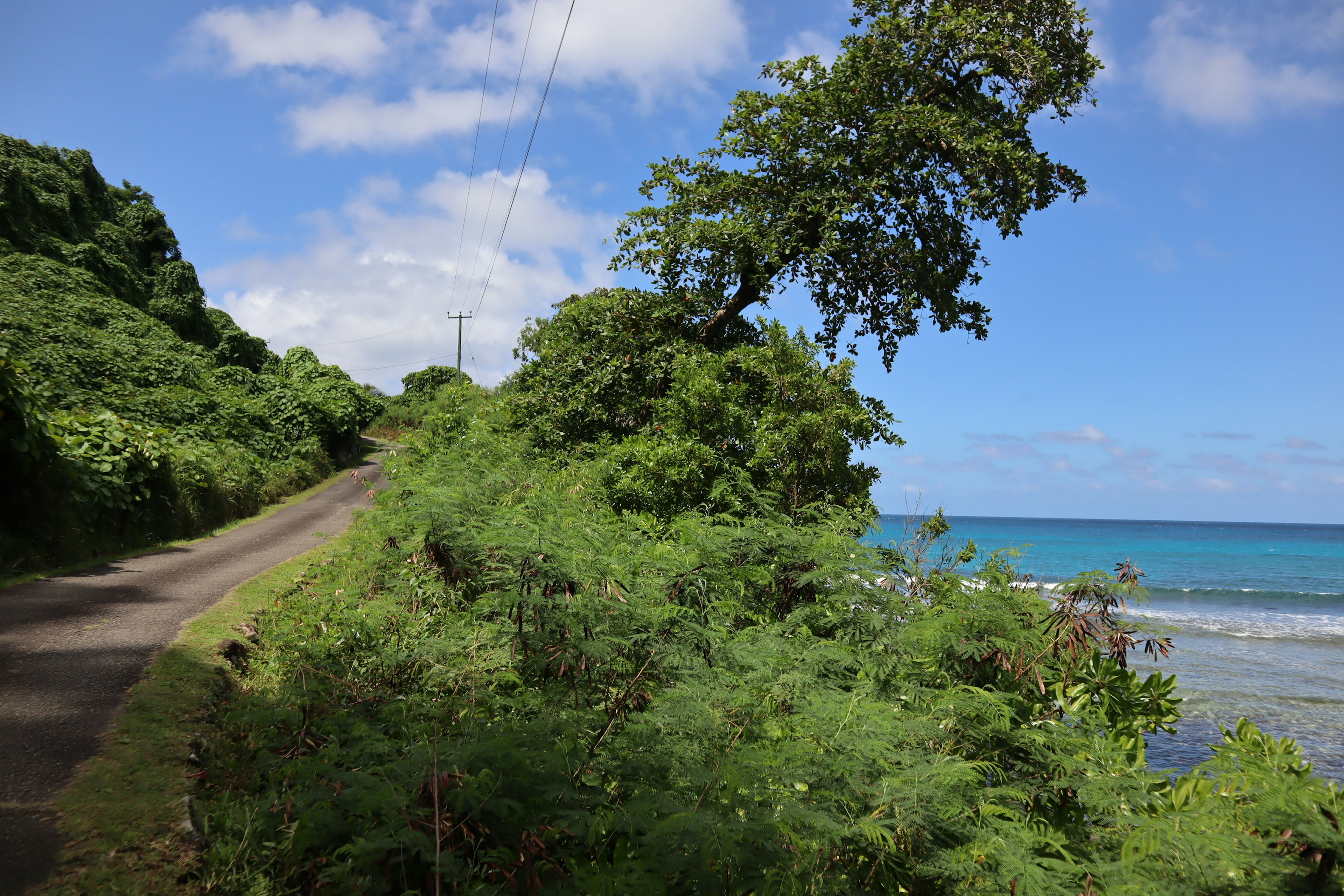 海岸沿いの道路と青い海の風景 緑豊かな植物と青空