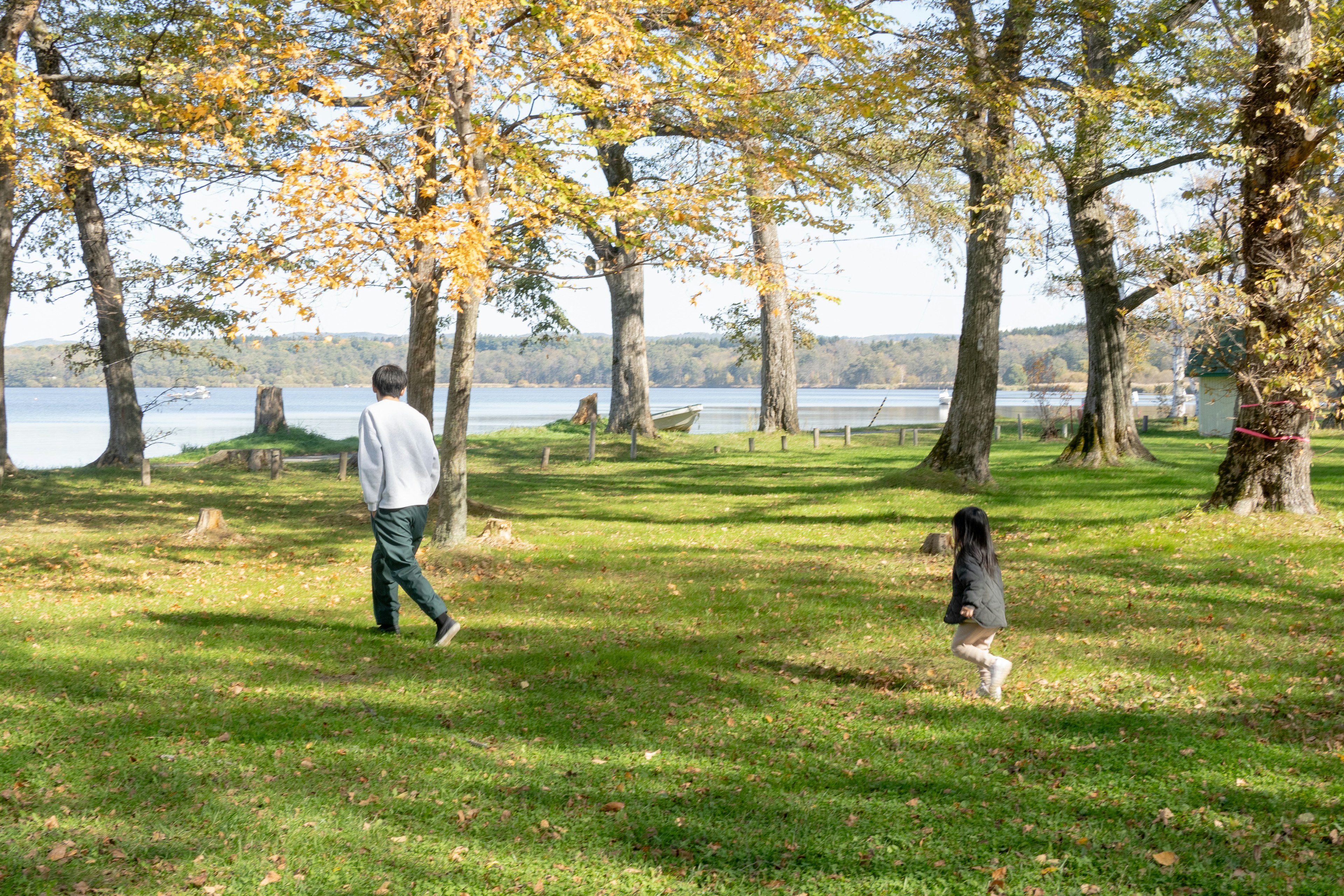 Adulto e bambino che camminano in un parco con foglie autunnali