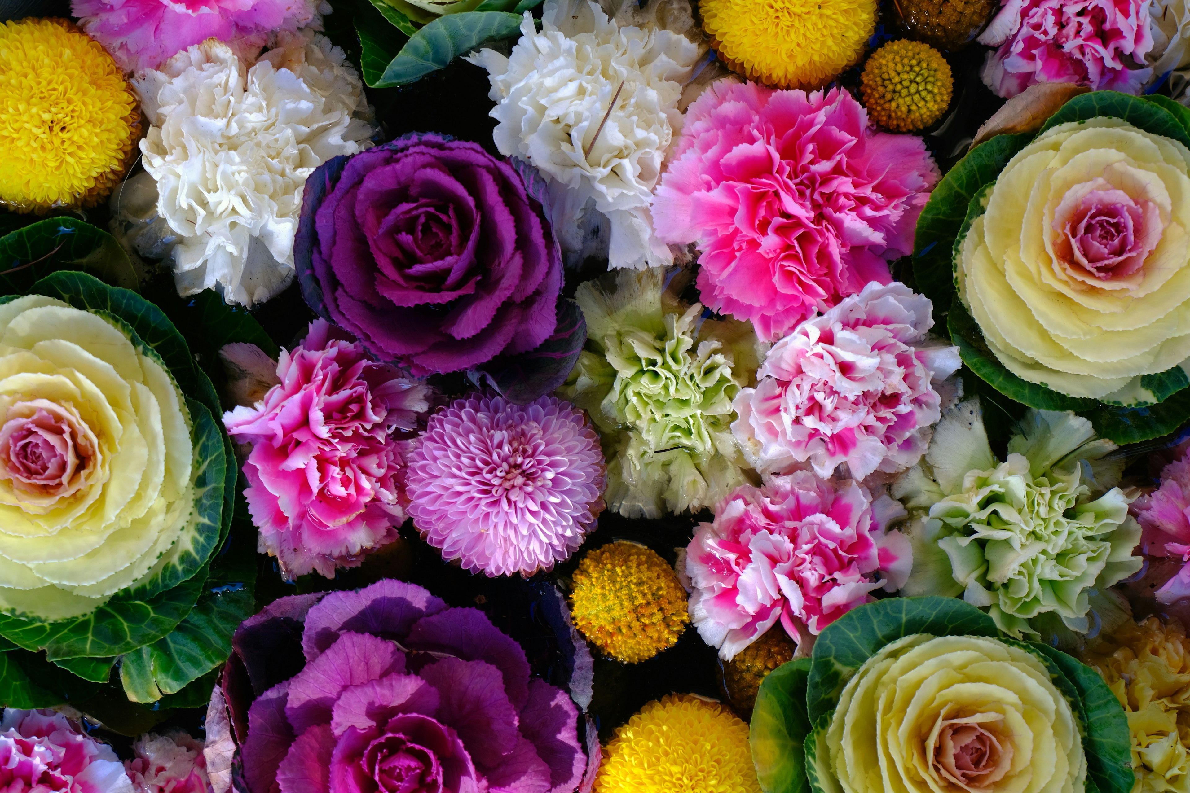 Un bel arrangement de fleurs colorées comprenant des roses et des chrysanthèmes