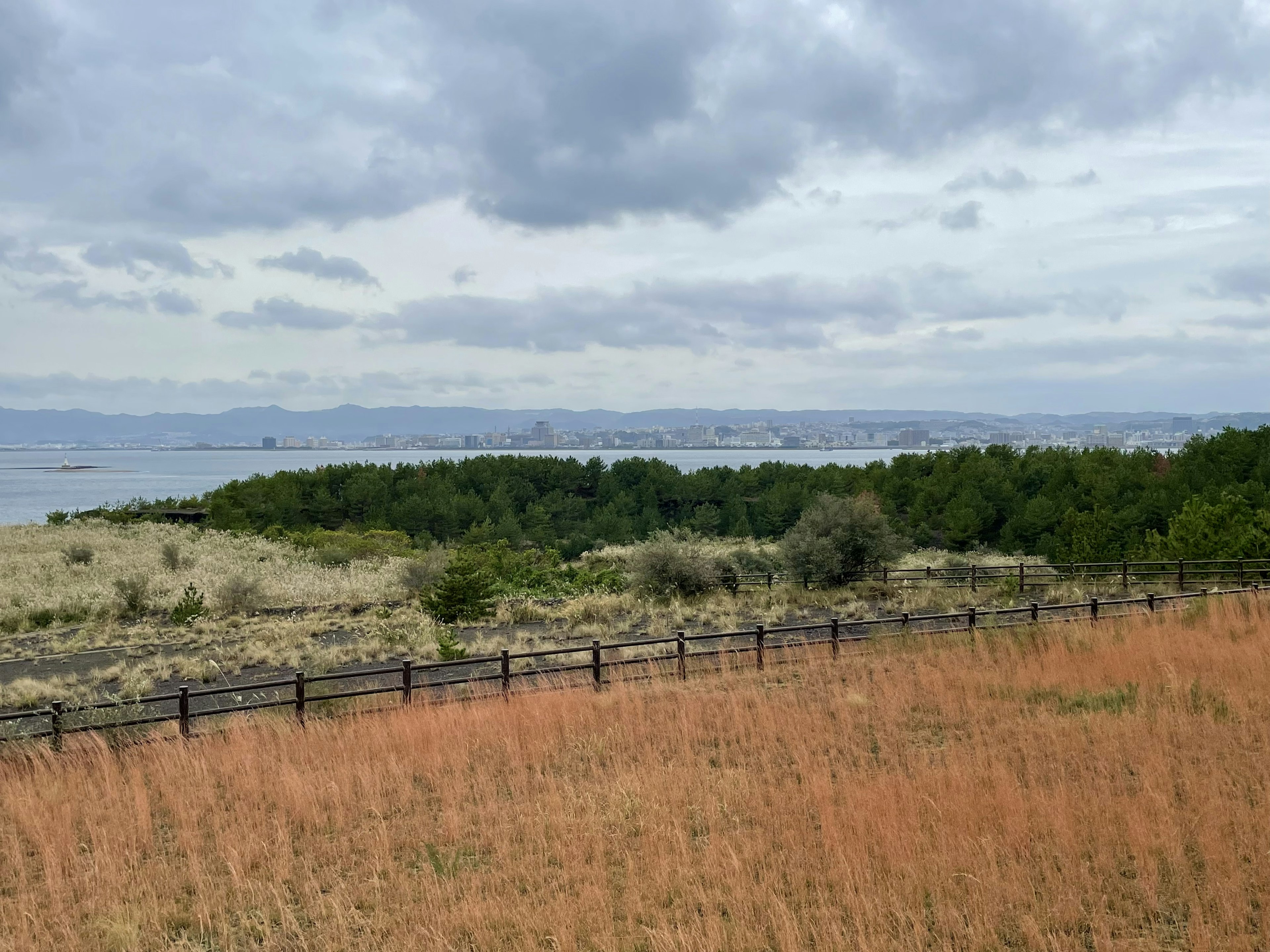 Vaste paysage avec de l'herbe et des arbres avec une vue lointaine sur la mer