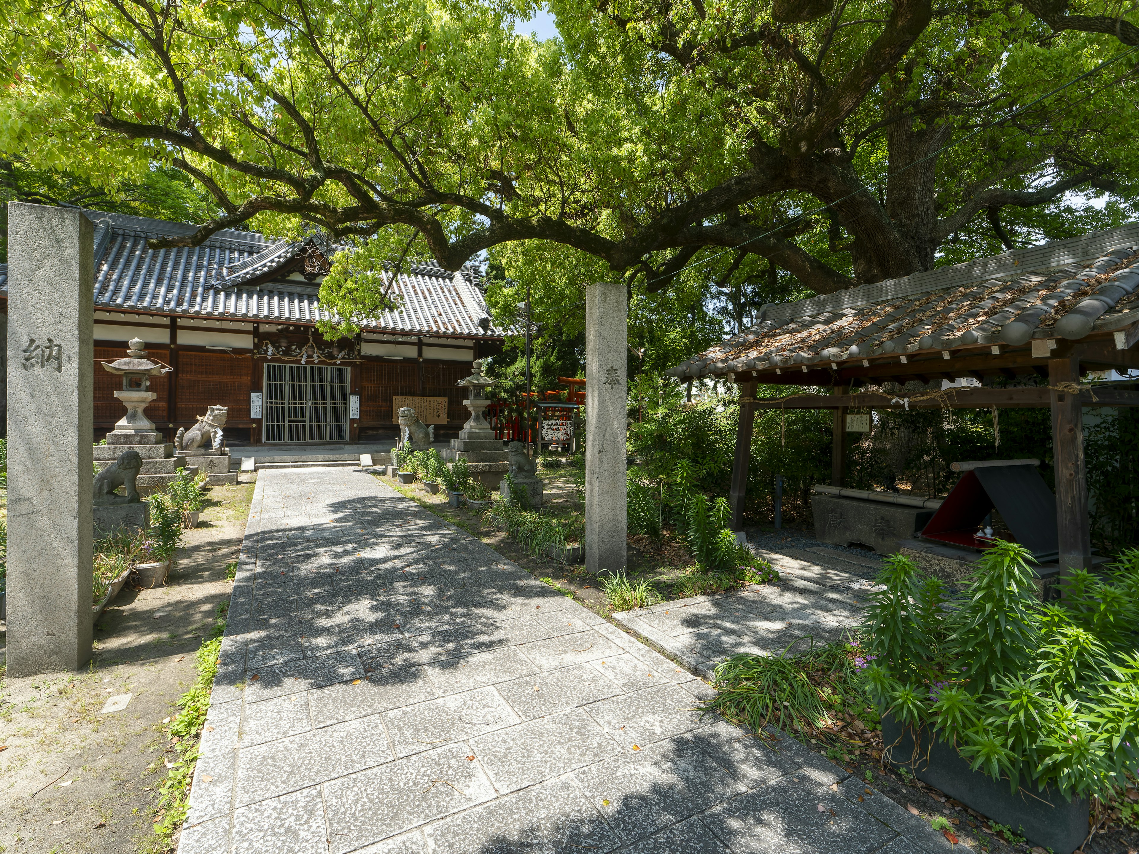 Entrance of a temple with lush greenery and traditional architecture