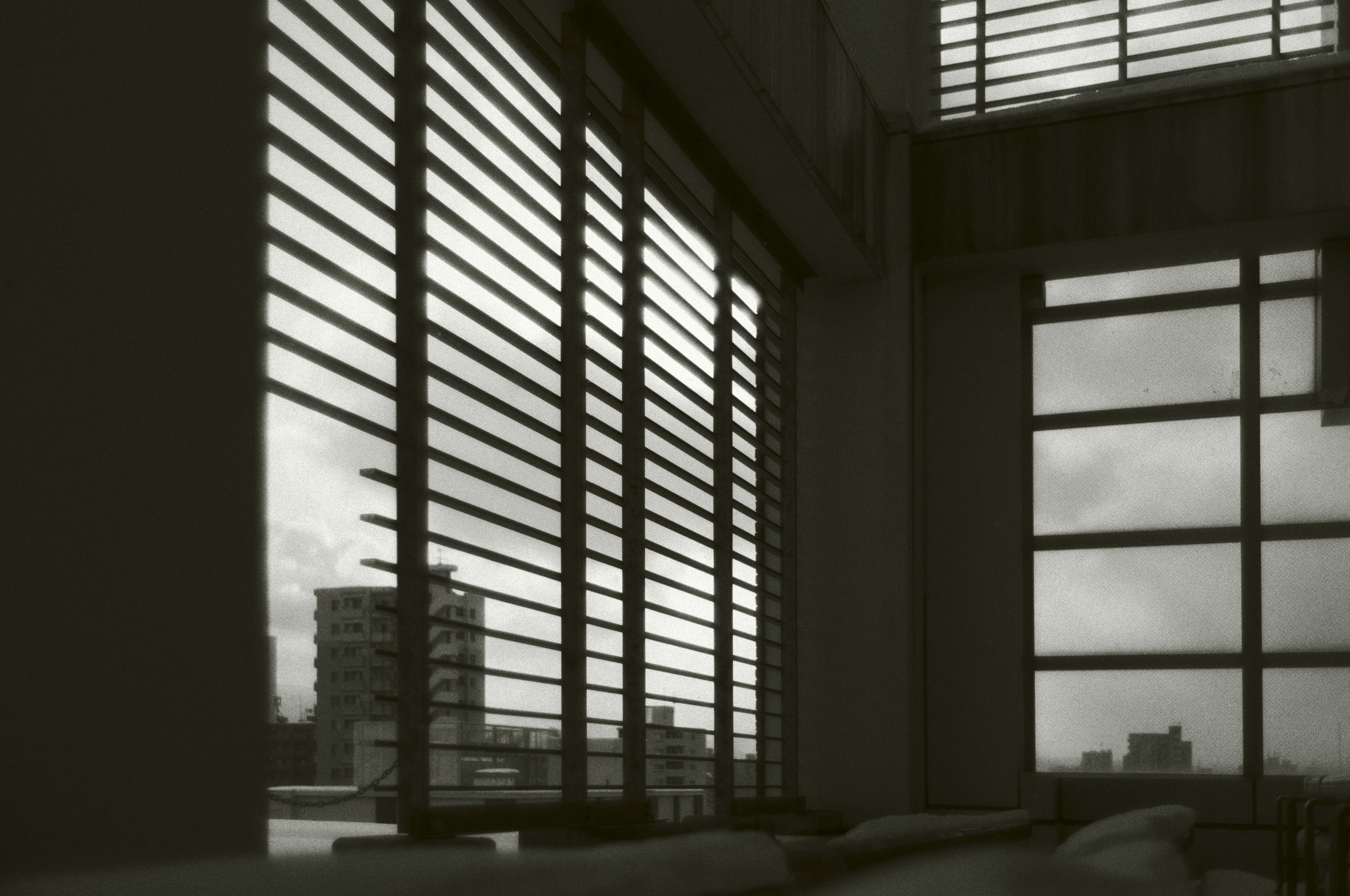 Black and white tones featuring window blinds and a cityscape