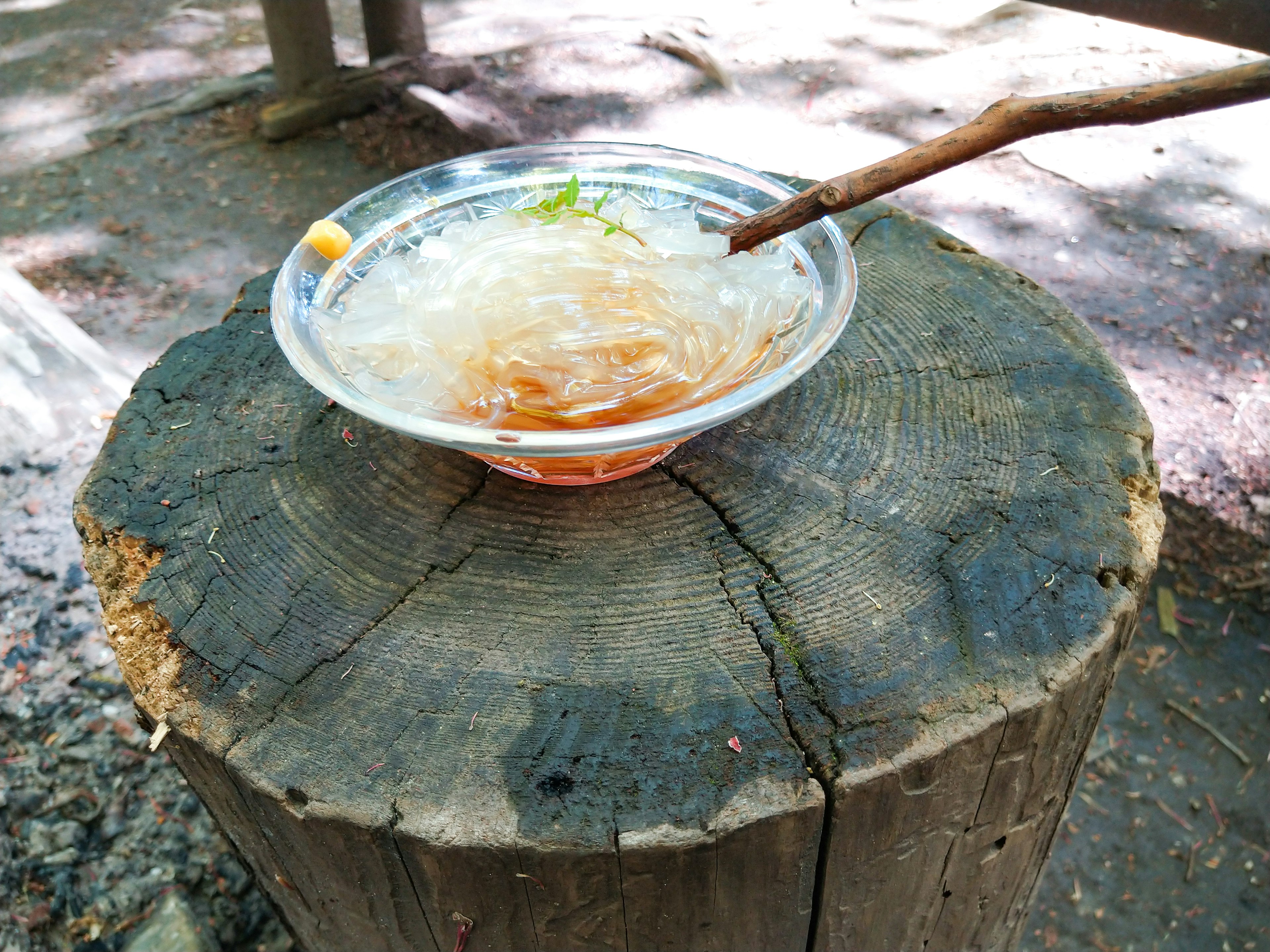 Un dessert froid dans un bol transparent posé sur une souche en bois