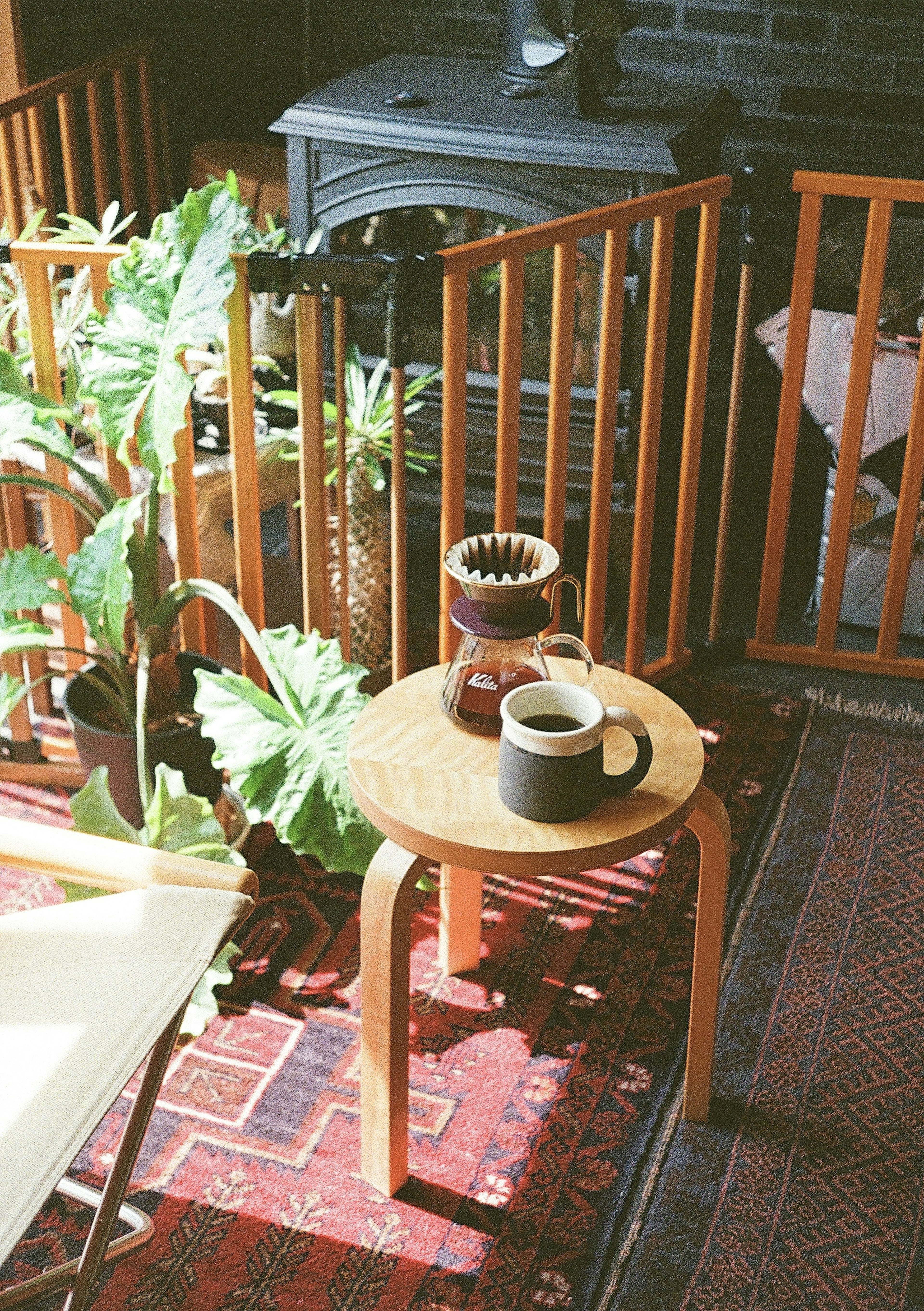 Cozy living room scene with a wooden table holding a coffee cup and coffee maker surrounded by plants