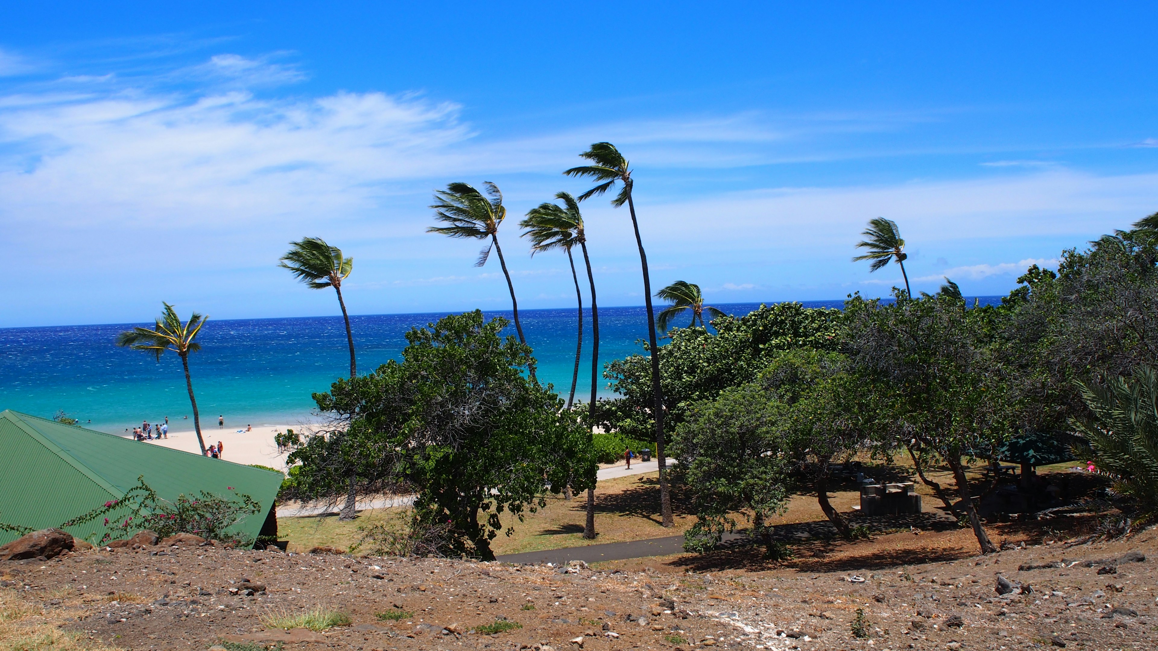 Scène de plage avec des palmiers oscillants et un océan bleu clair