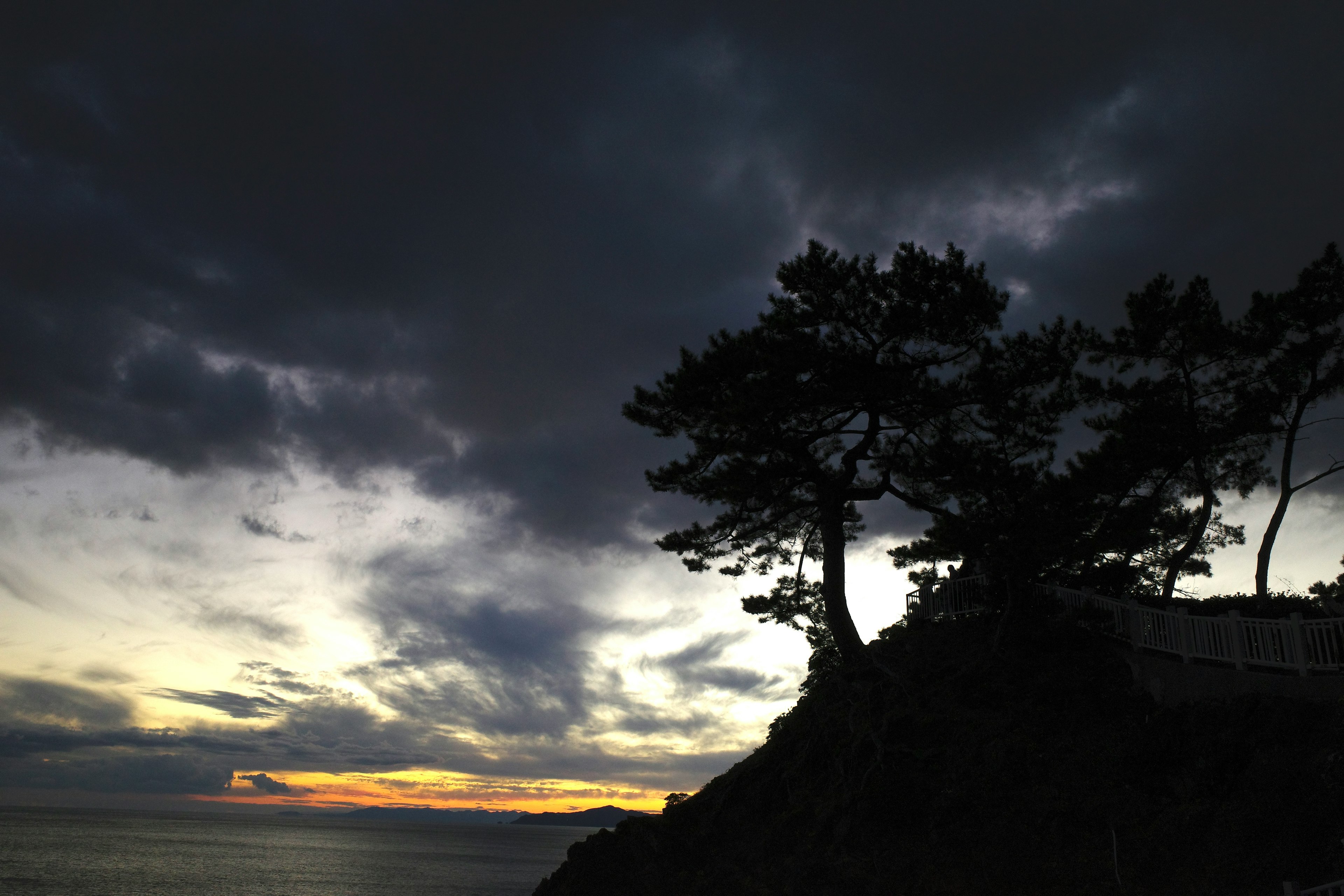 暗い空と海の景色に silhouetted pine trees