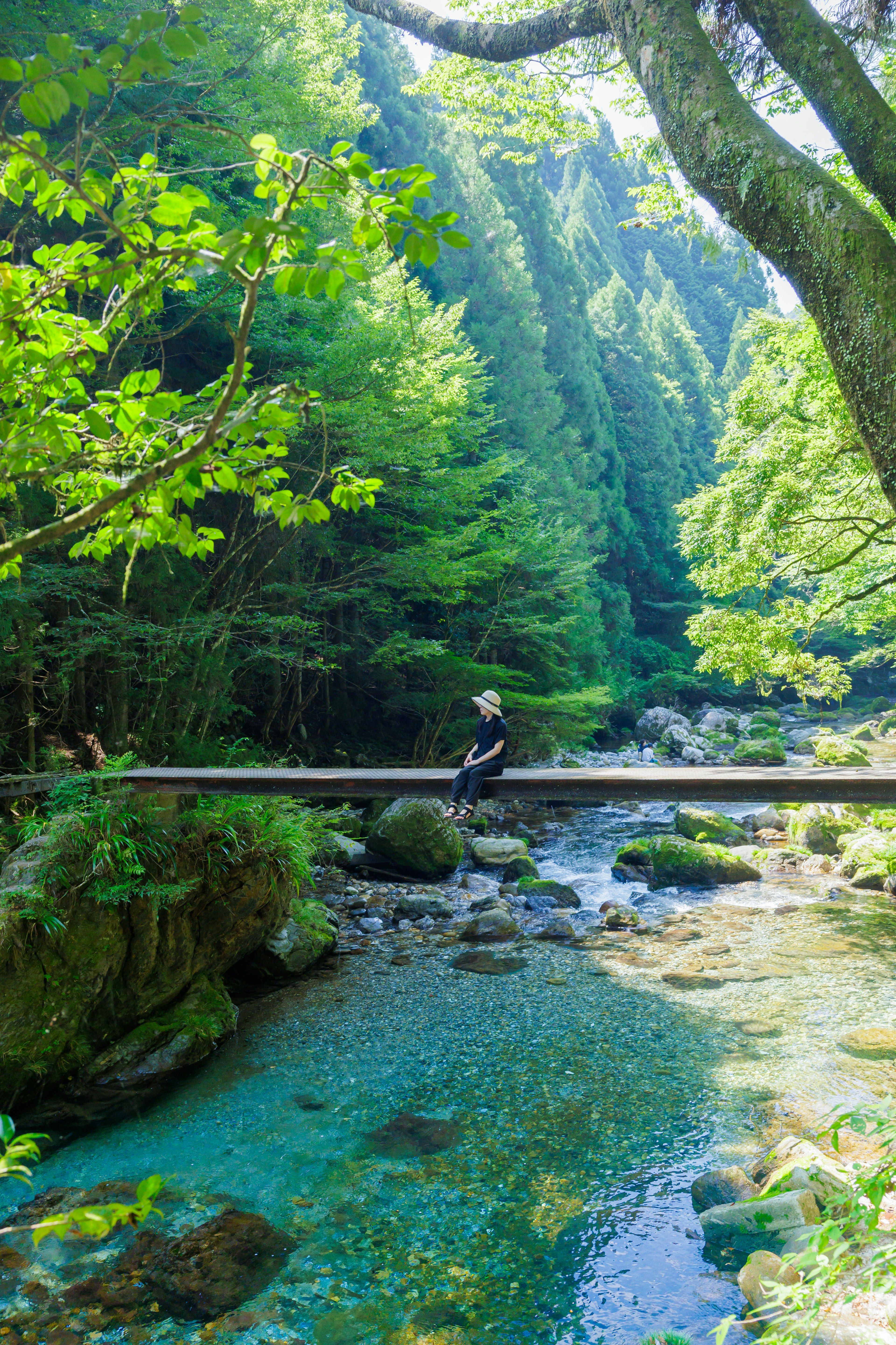 Personne assise sur un pont entouré d'une rivière bleue et d'arbres verts