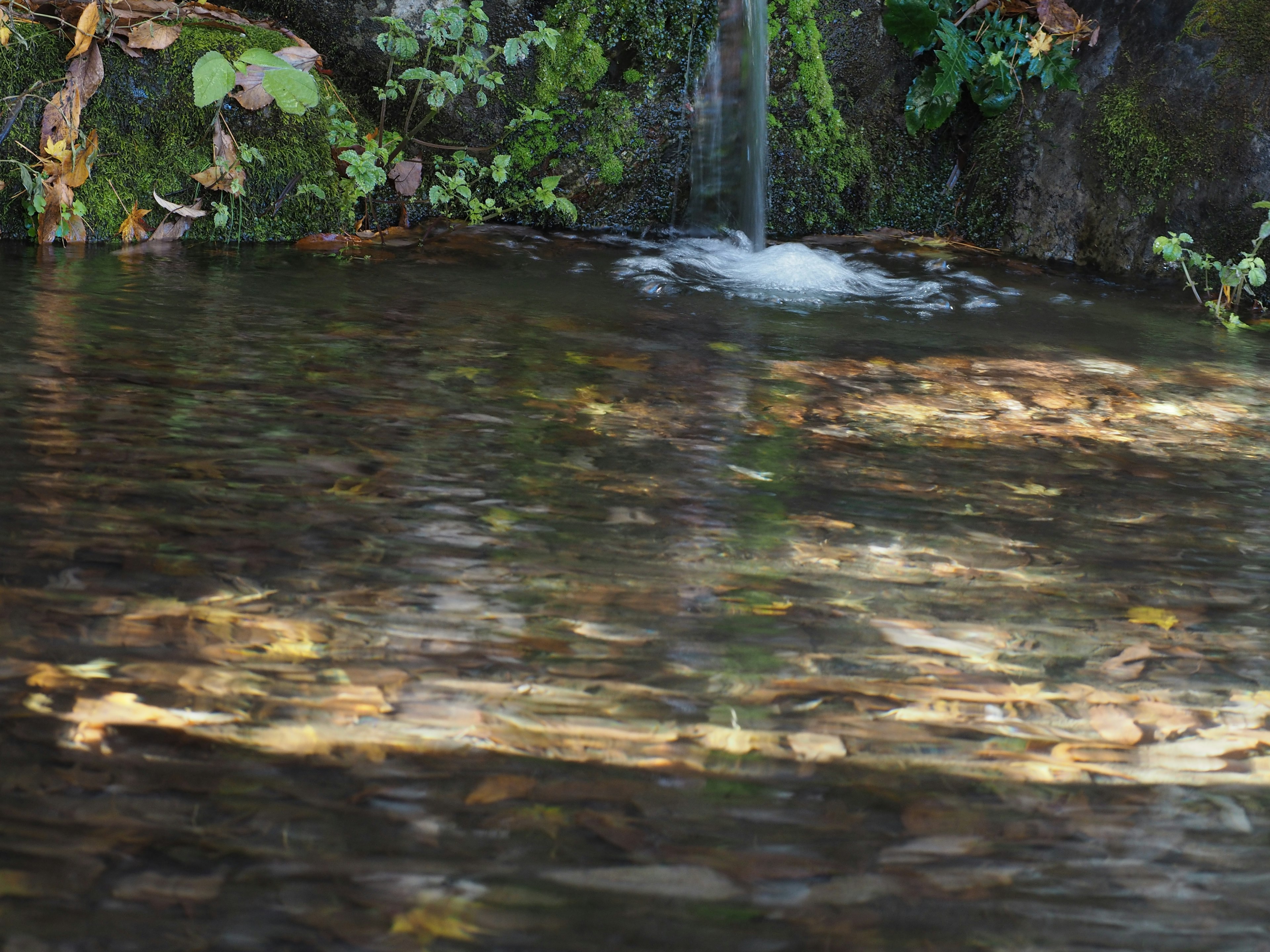 Calm stream reflecting natural scenery with a small waterfall