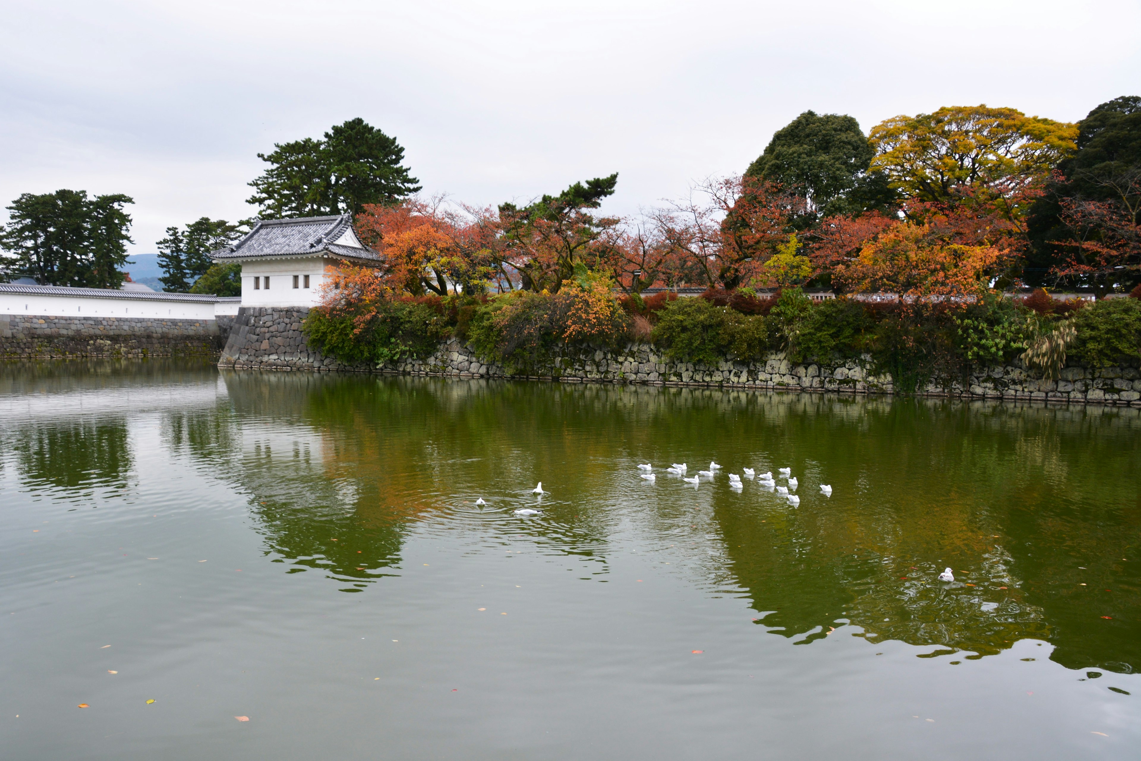 秋の紅葉が映る静かな池と白い建物