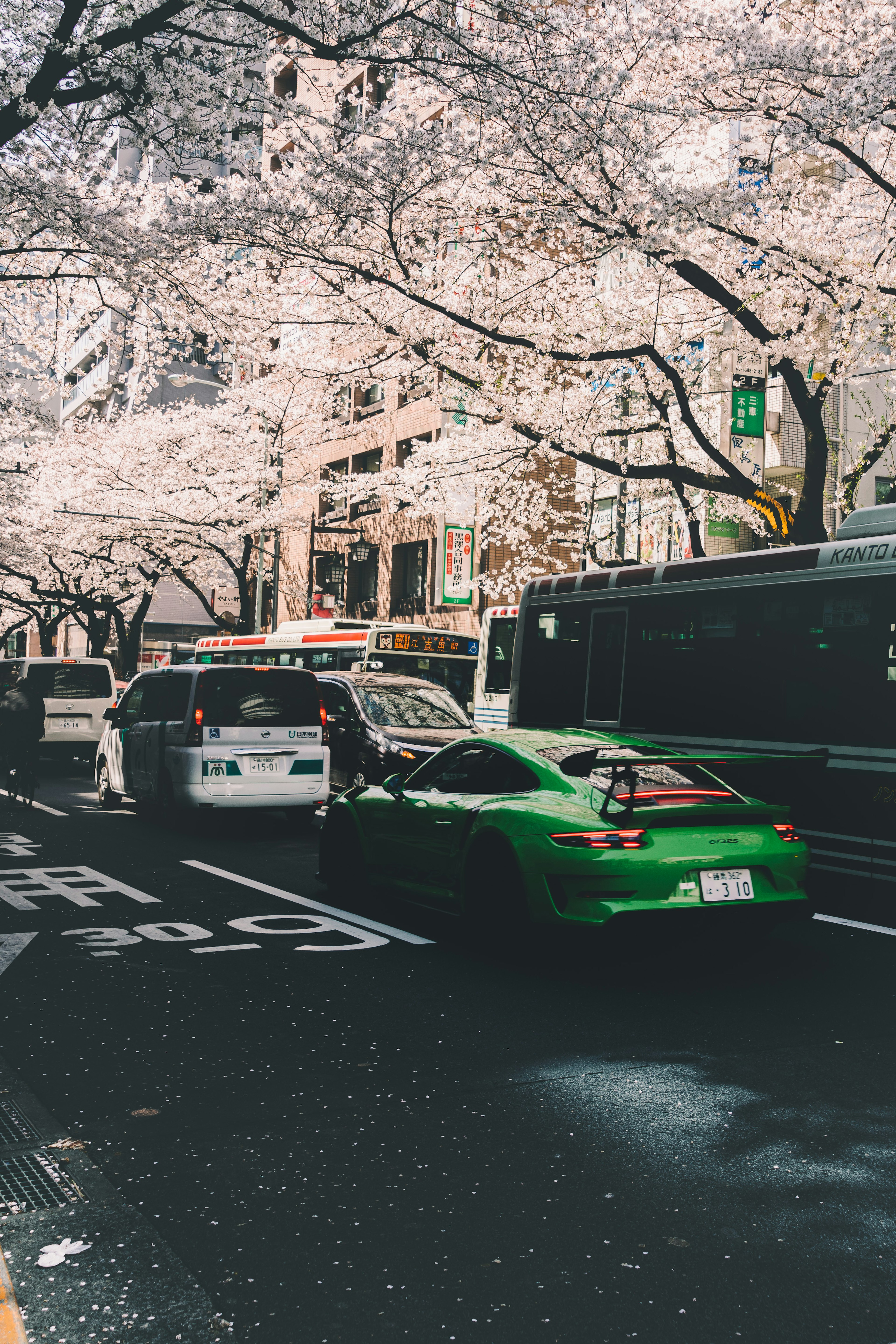 Voiture verte sur une rue bordée d'arbres en fleurs et d'autres véhicules