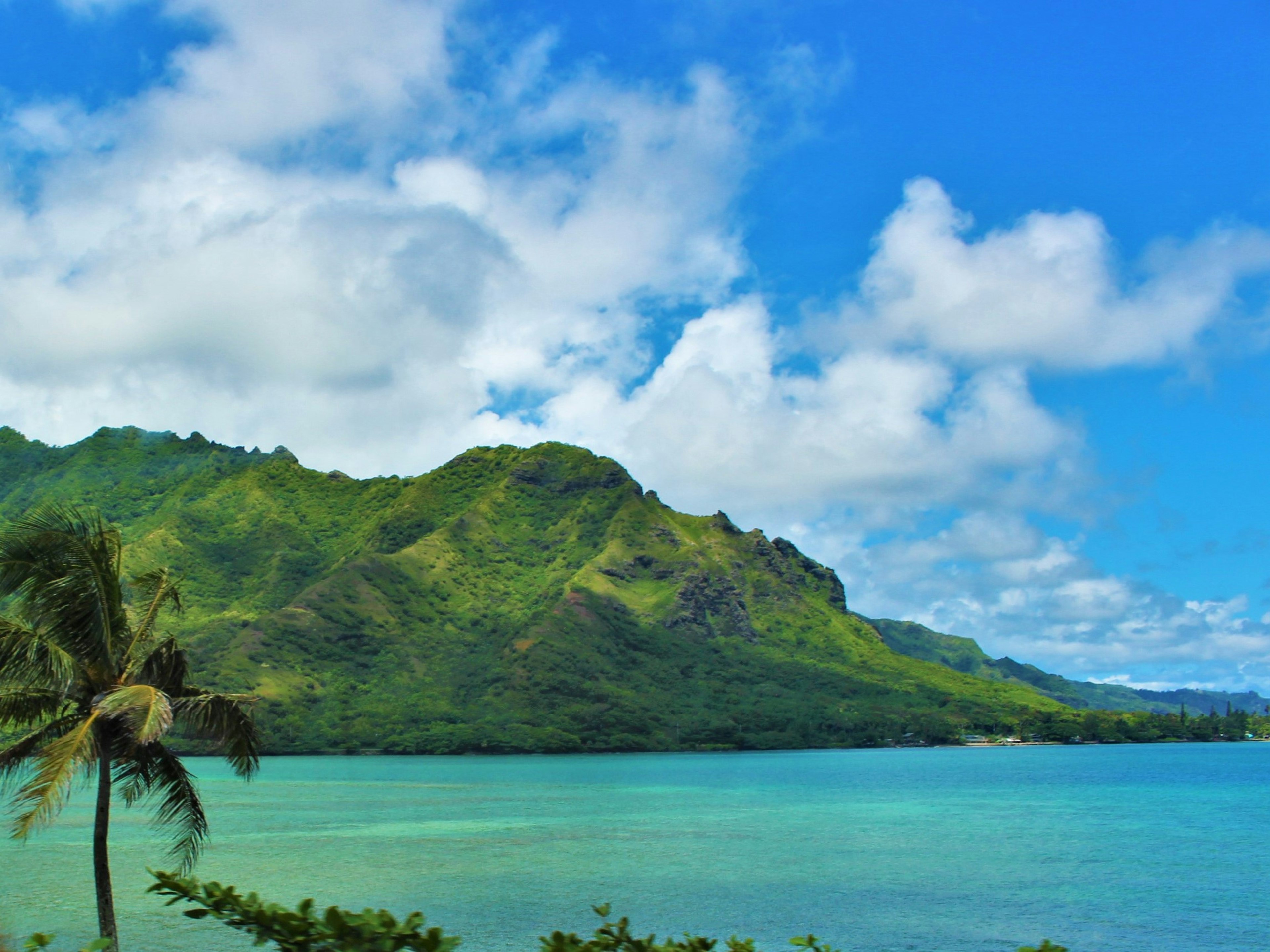 Pemandangan indah dengan laut biru dan gunung hijau