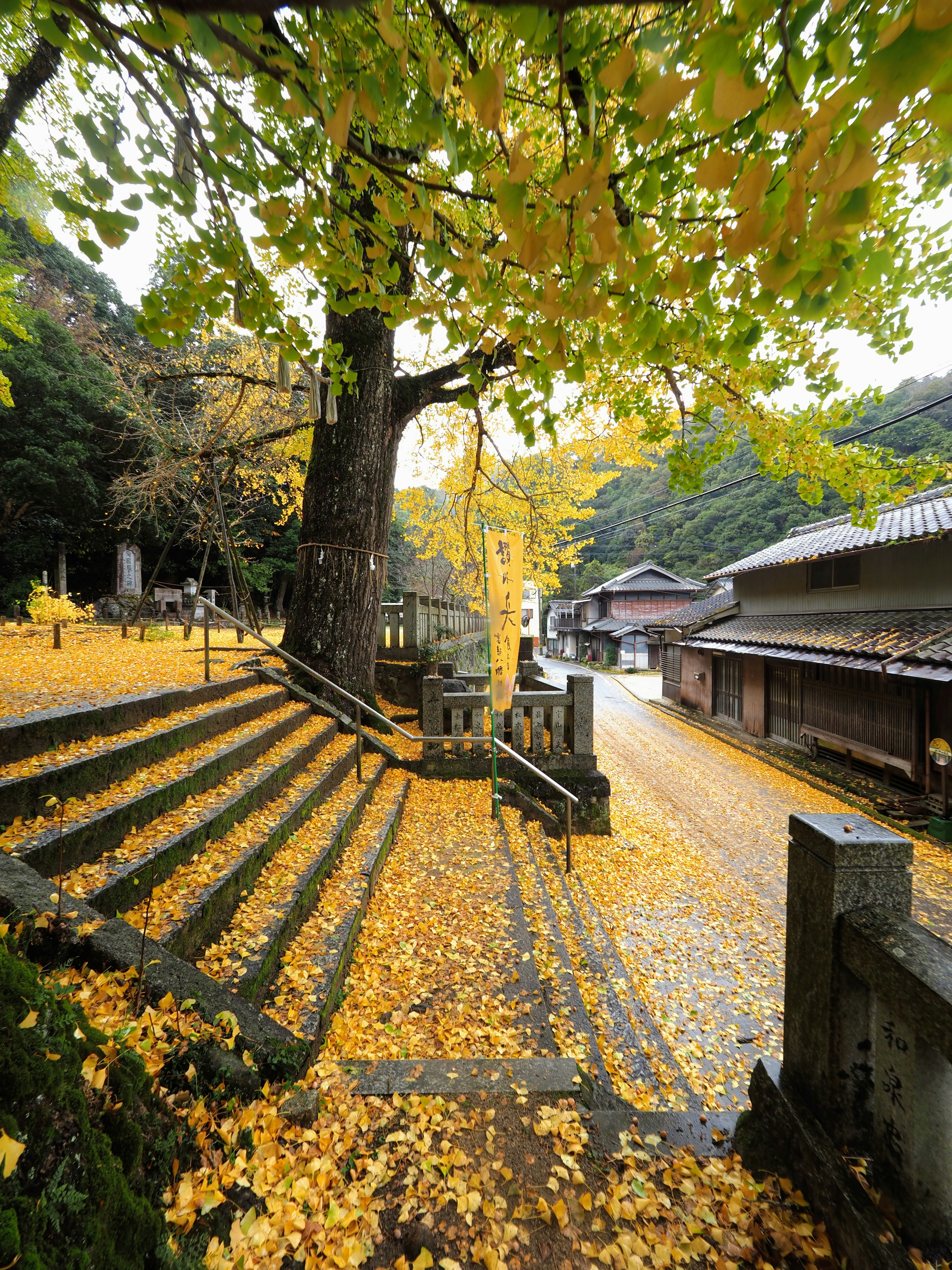 Vista escénica de un camino bordeado de hojas de otoño amarillas y edificios tradicionales