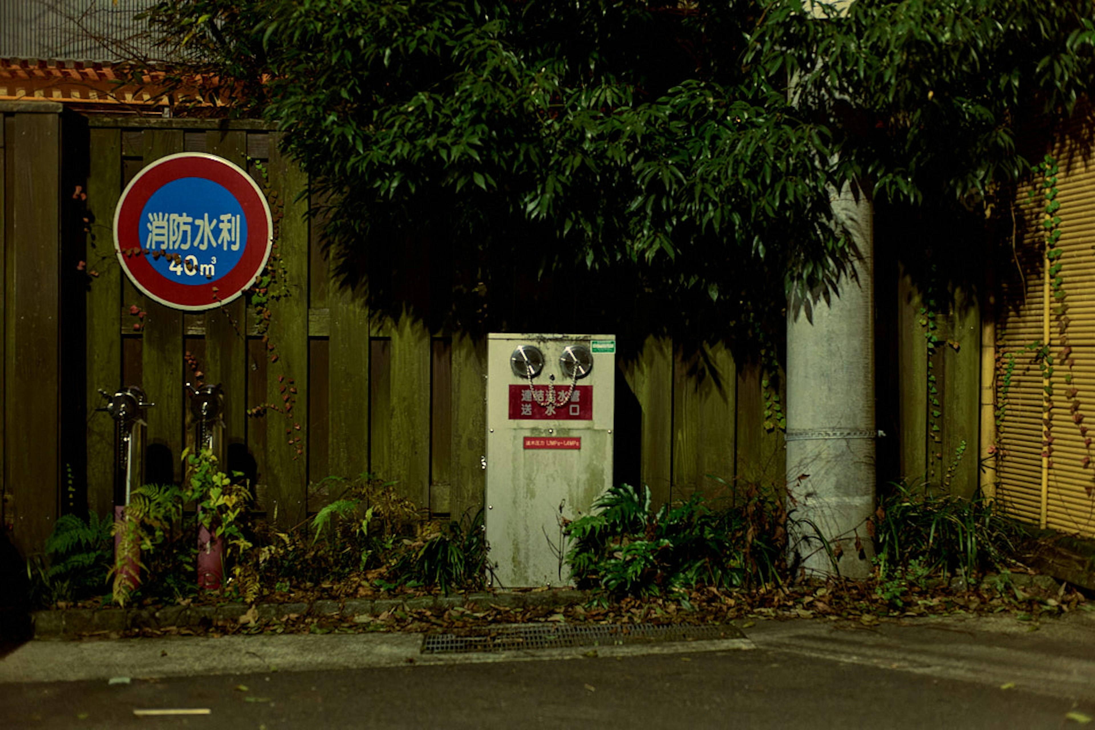 Water supply sign and plants at a street corner at night