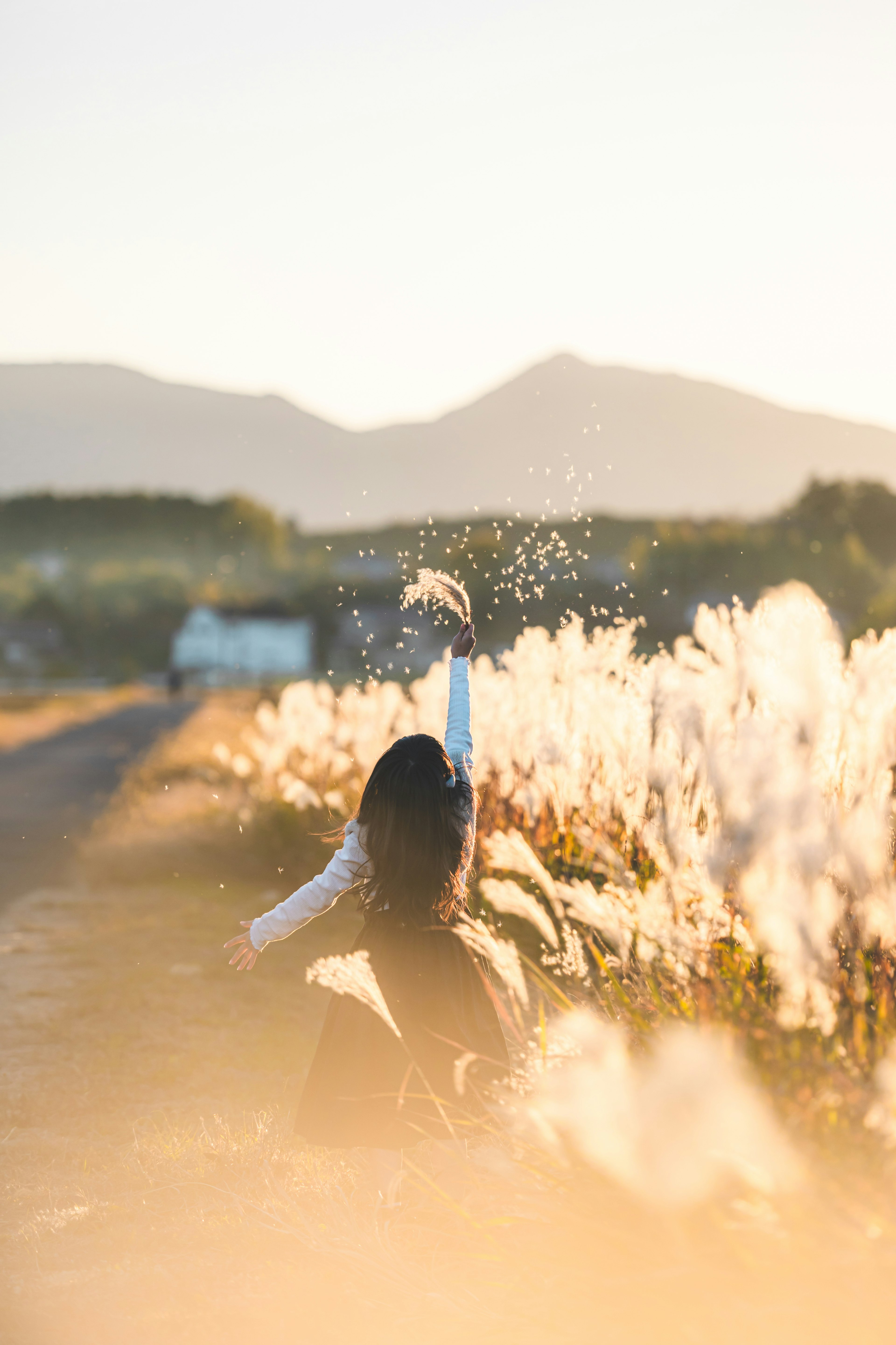 夕暮れの風景で、草原に座る女性が水しぶきを上げている