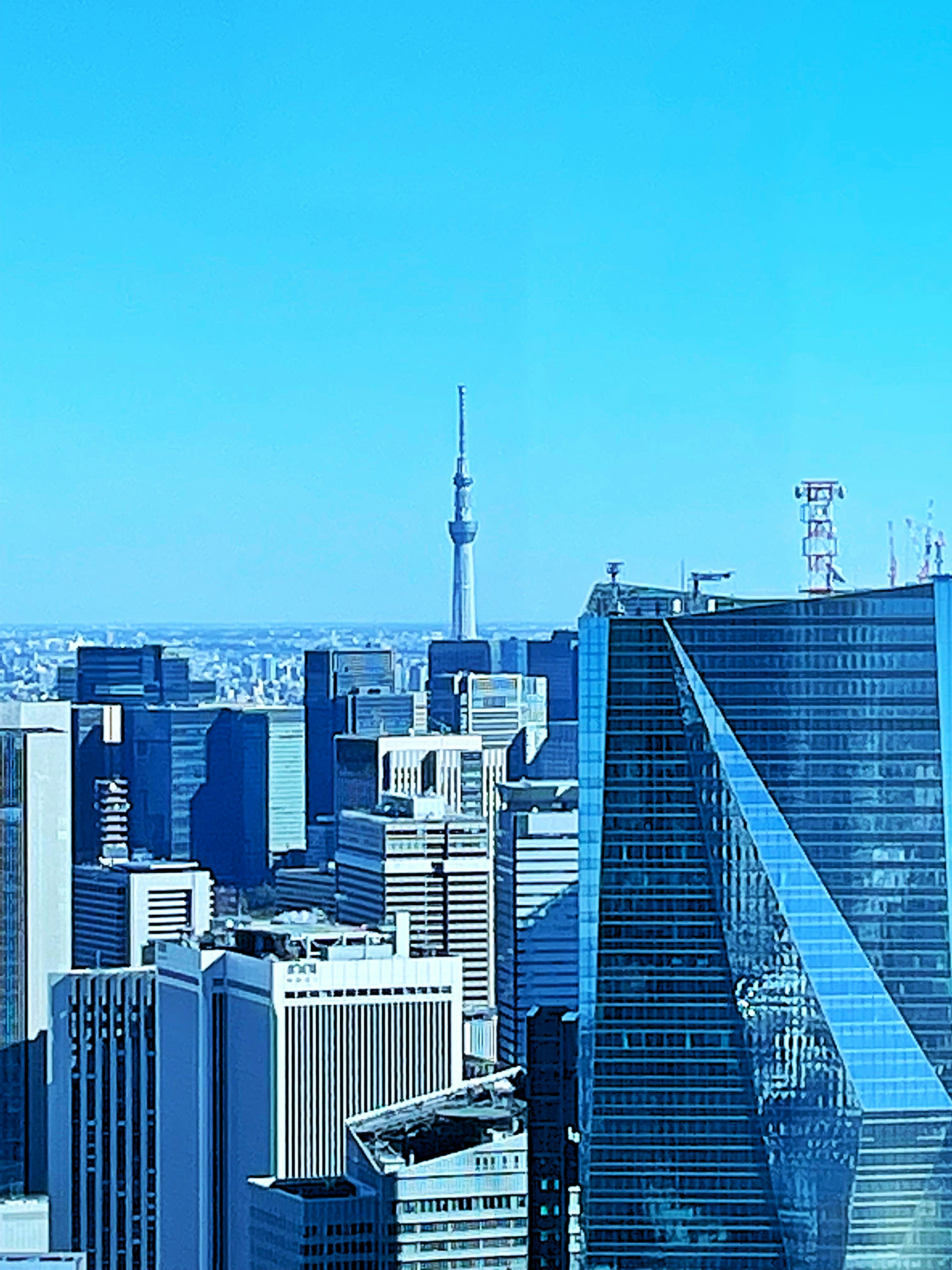 Pemandangan kota Tokyo dengan Tokyo Skytree di bawah langit biru