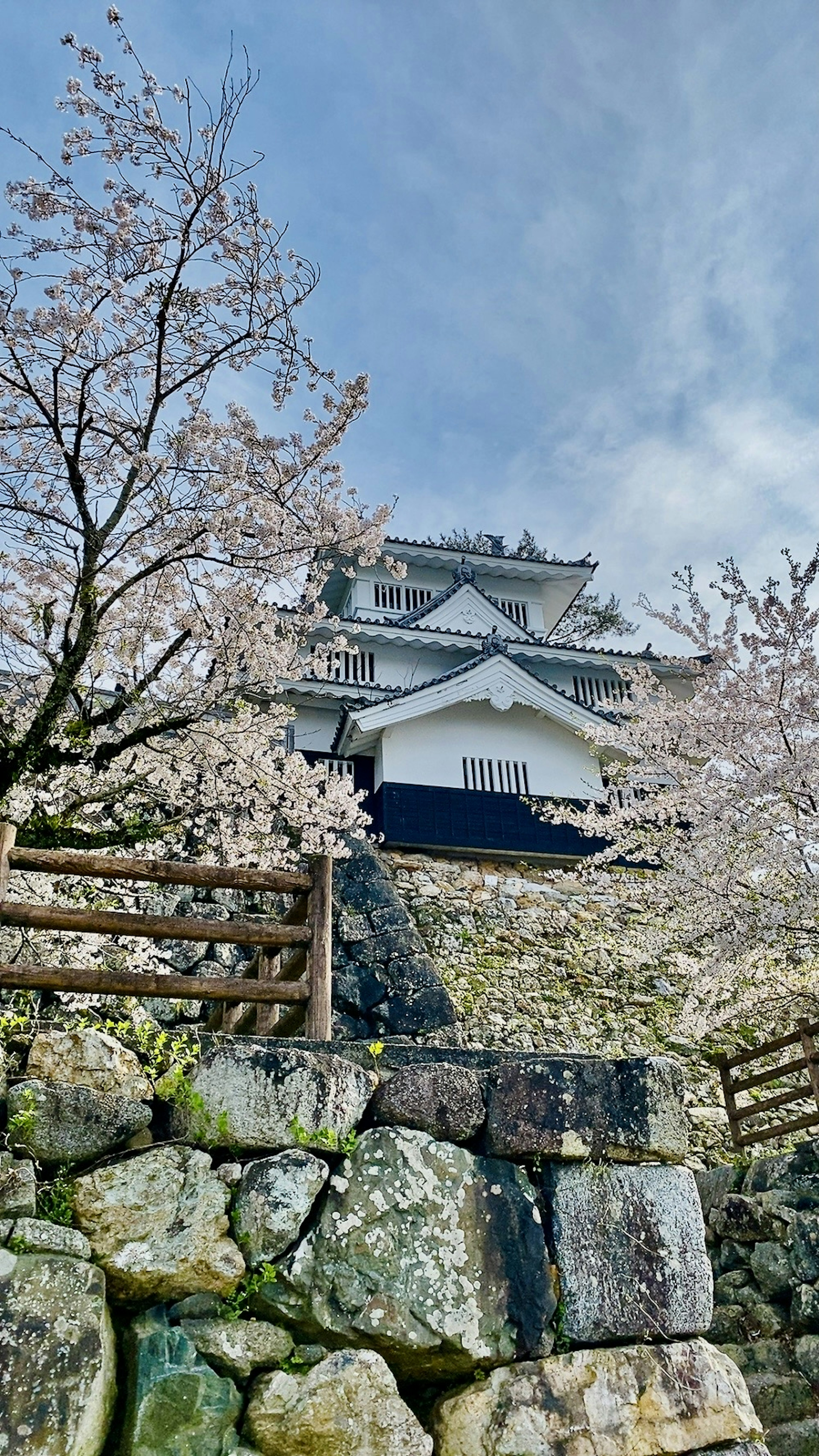 A castle surrounded by cherry blossom trees and stone walls