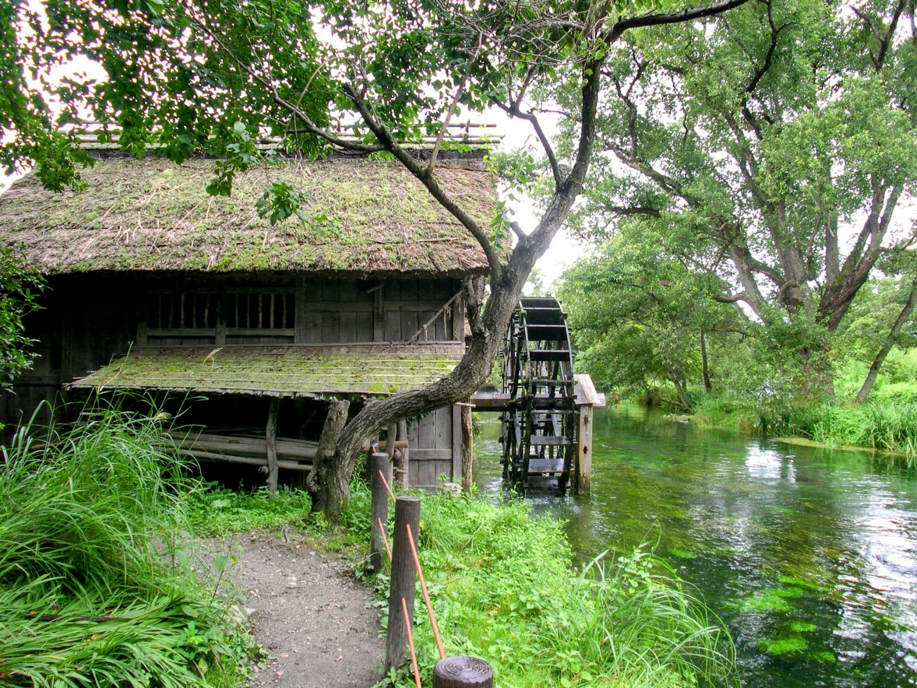 Vista pittoresca di una vecchia casa di legno e di una ruota idraulica a fianco del fiume