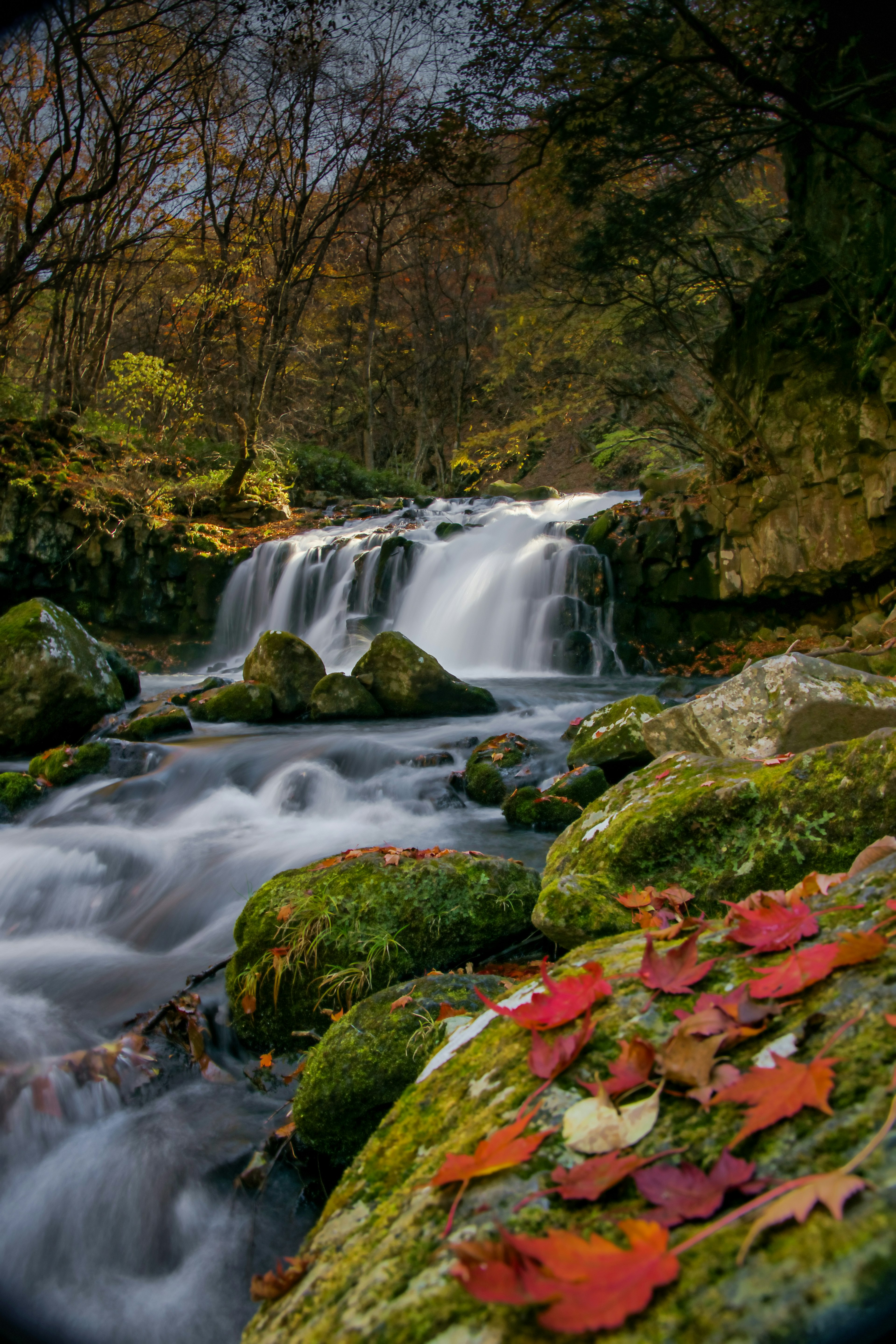 Scenic view of a waterfall with colorful autumn leaves