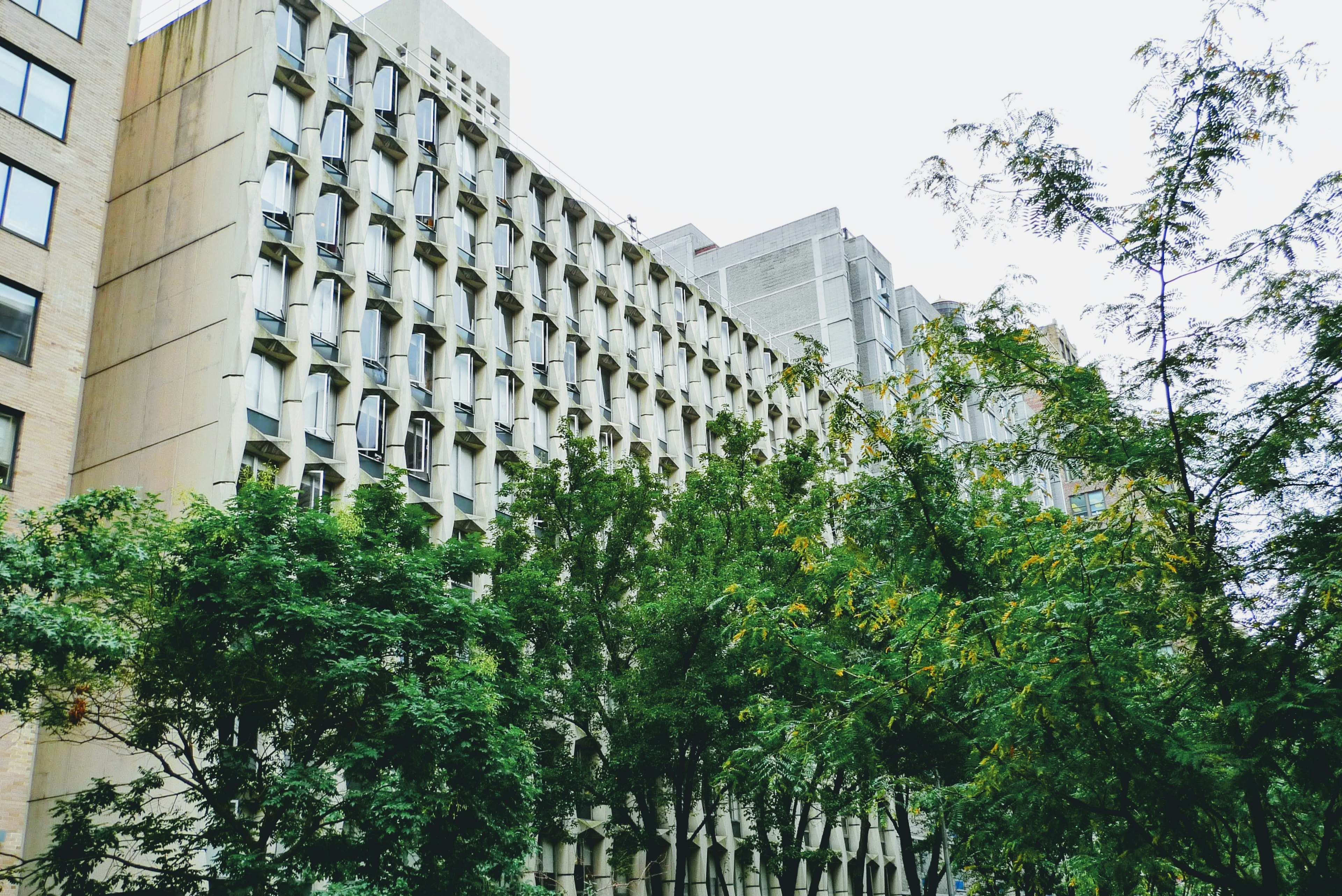 Façade de bâtiment avec des rangées de fenêtres et des arbres verts luxuriants