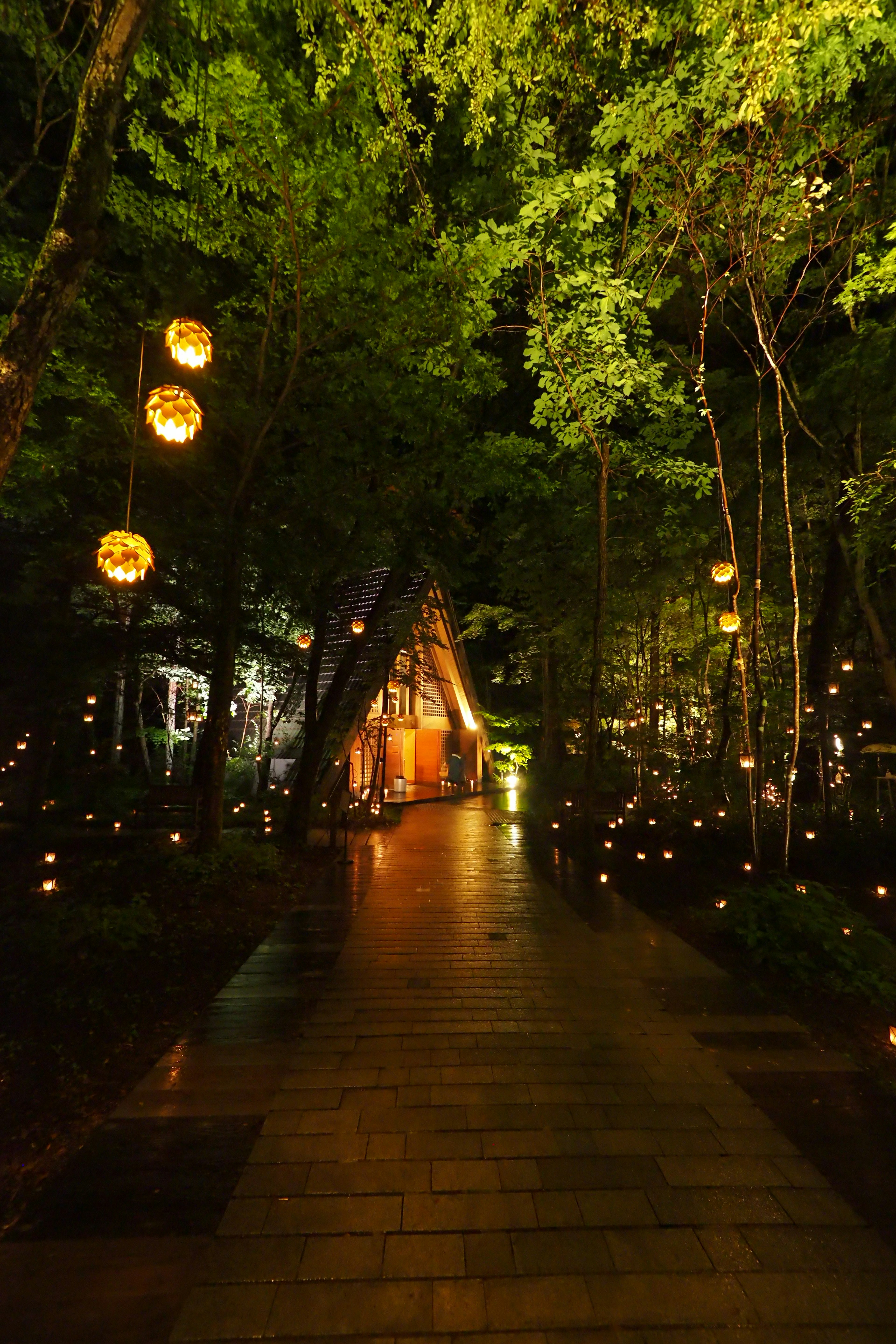 Jalan terang dikelilingi pepohonan dalam suasana hutan malam