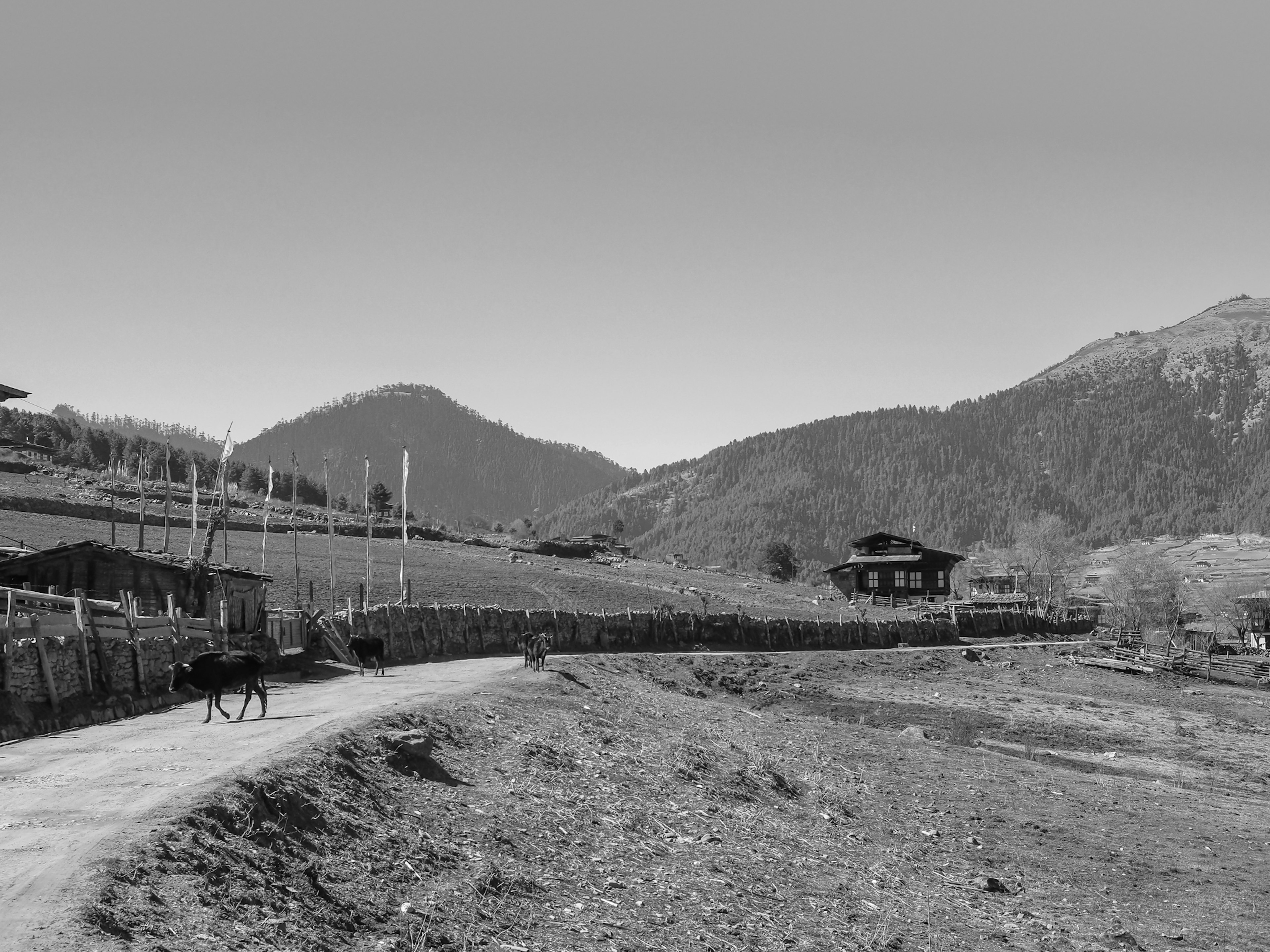 Paesaggio in bianco e nero con montagne e un sentiero rurale con una capanna