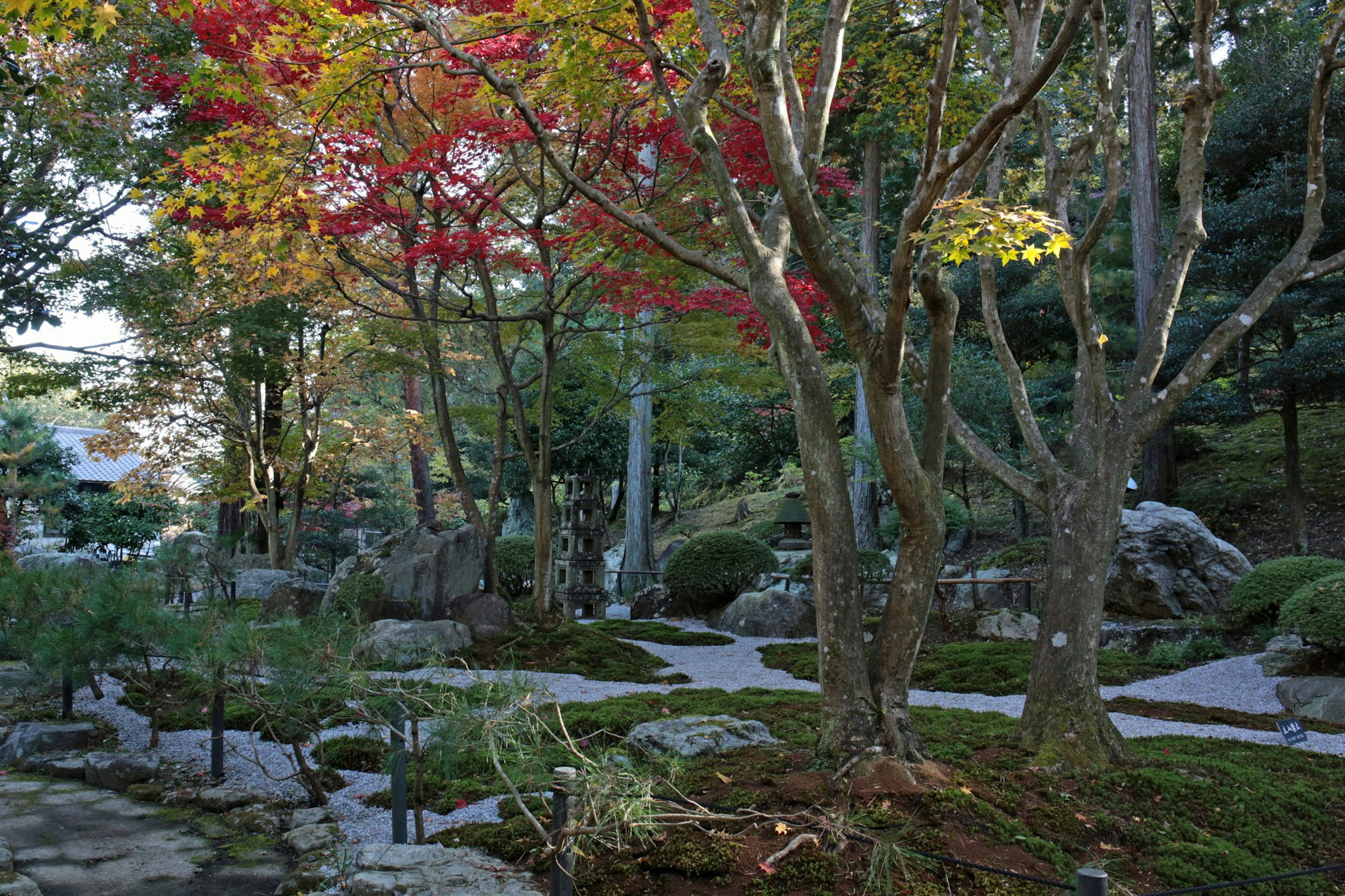 Scenic garden view featuring colorful trees and a winding path