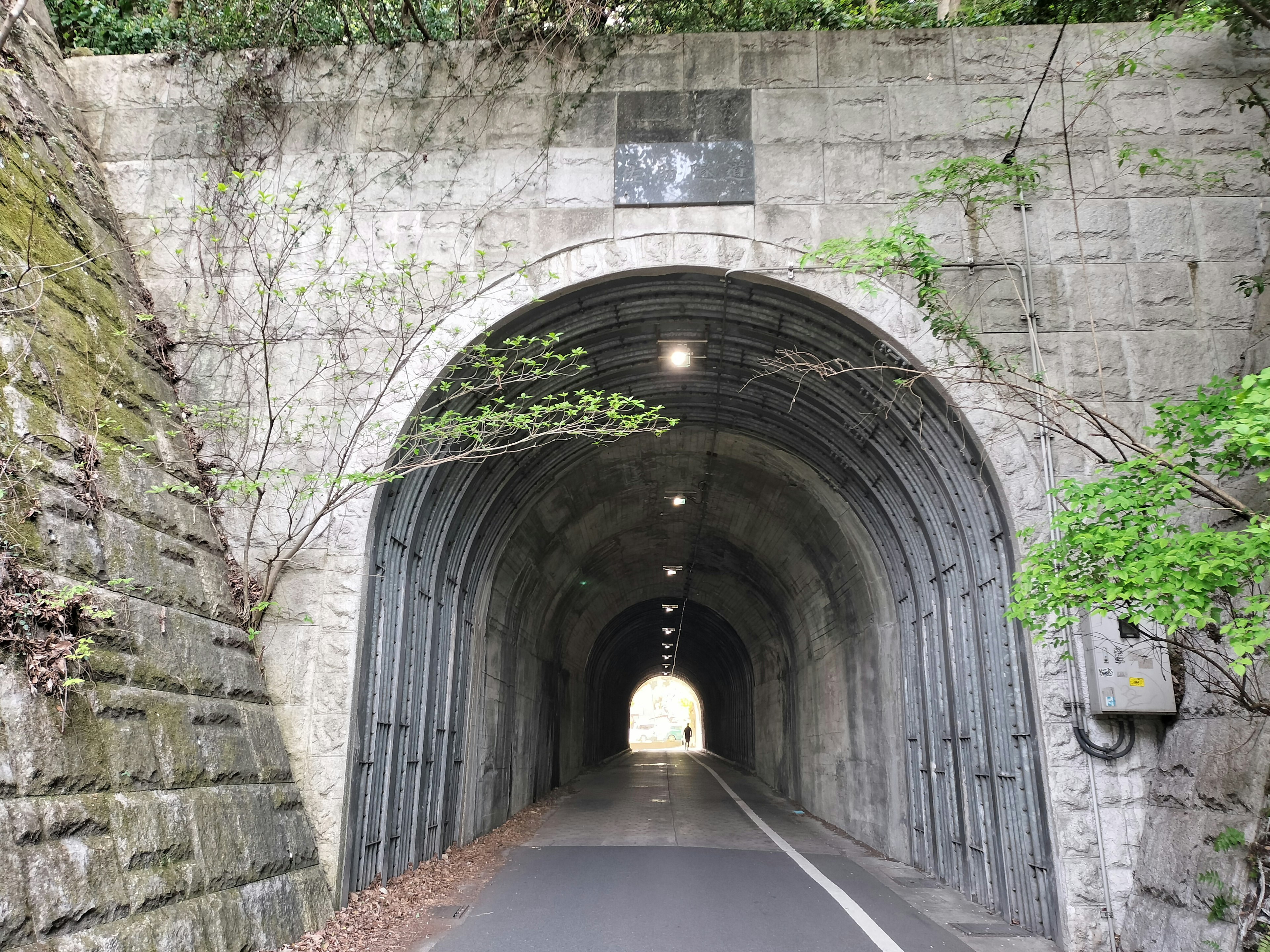 Vue d'une route menant à un tunnel en pierre en arc entouré de verdure