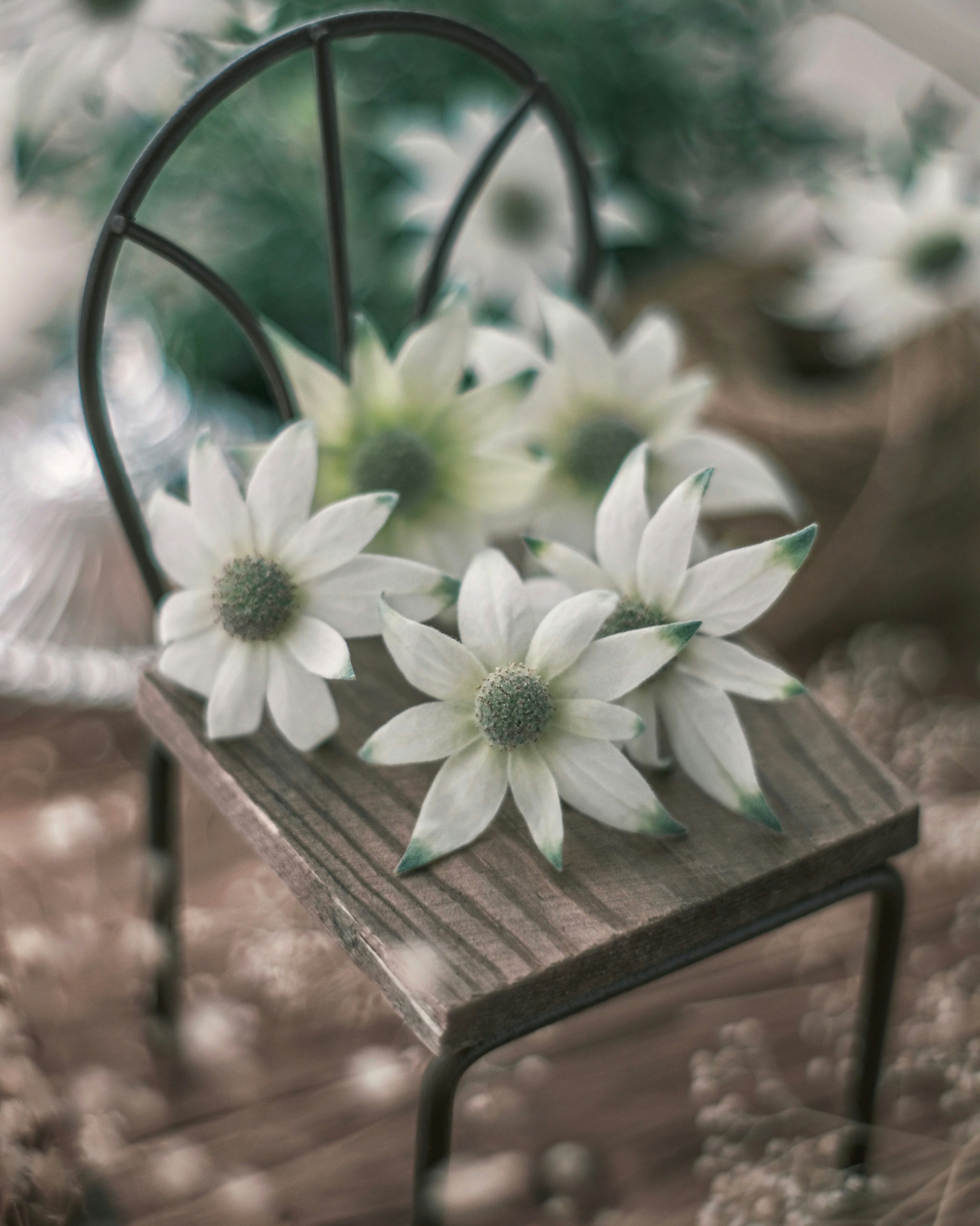 Arrangement de fleurs blanches sur une petite chaise