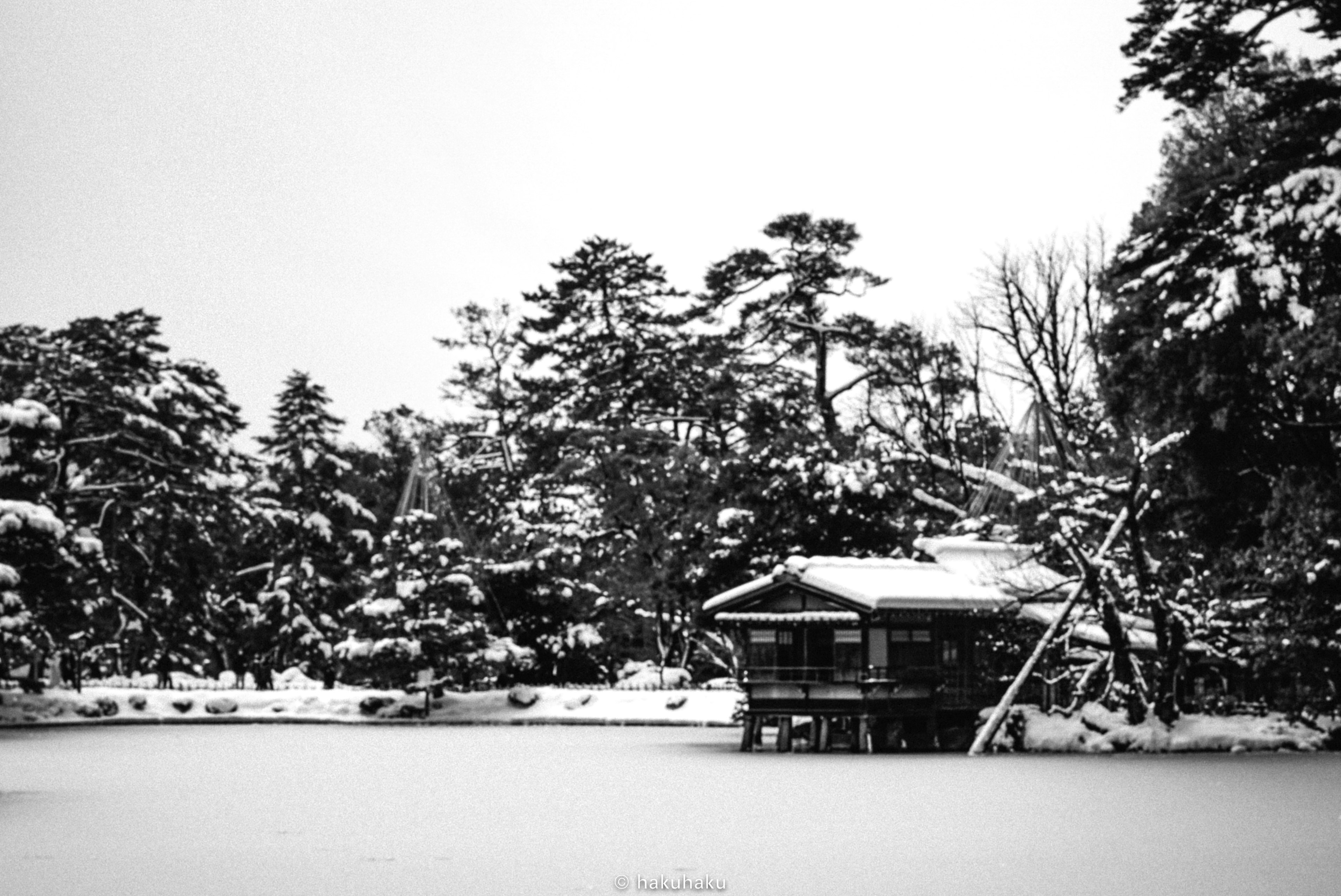 Black and white photo of a snow-covered pond with surrounding trees and a building