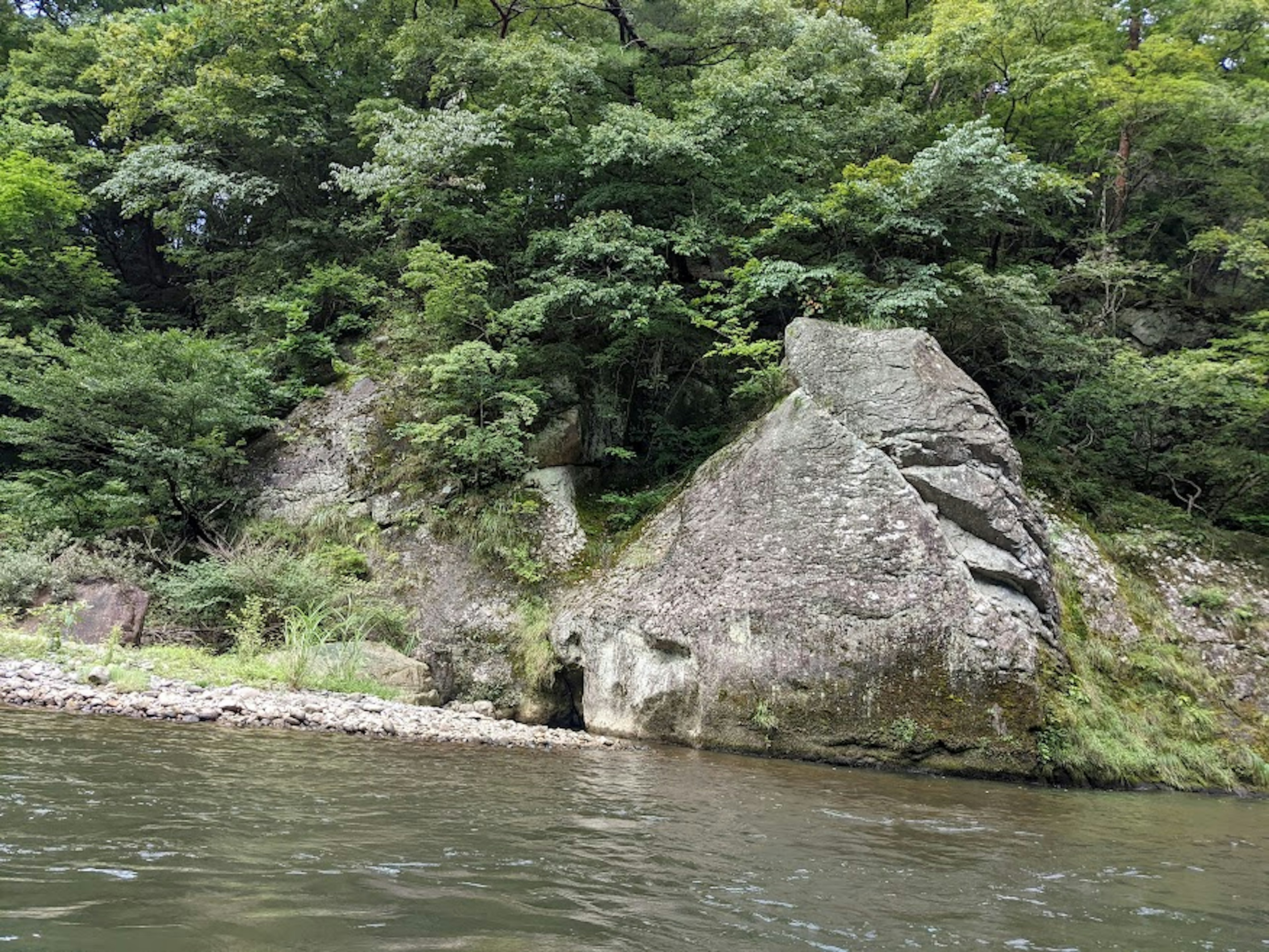 Großer Felsen am Fluss umgeben von üppigem Grün