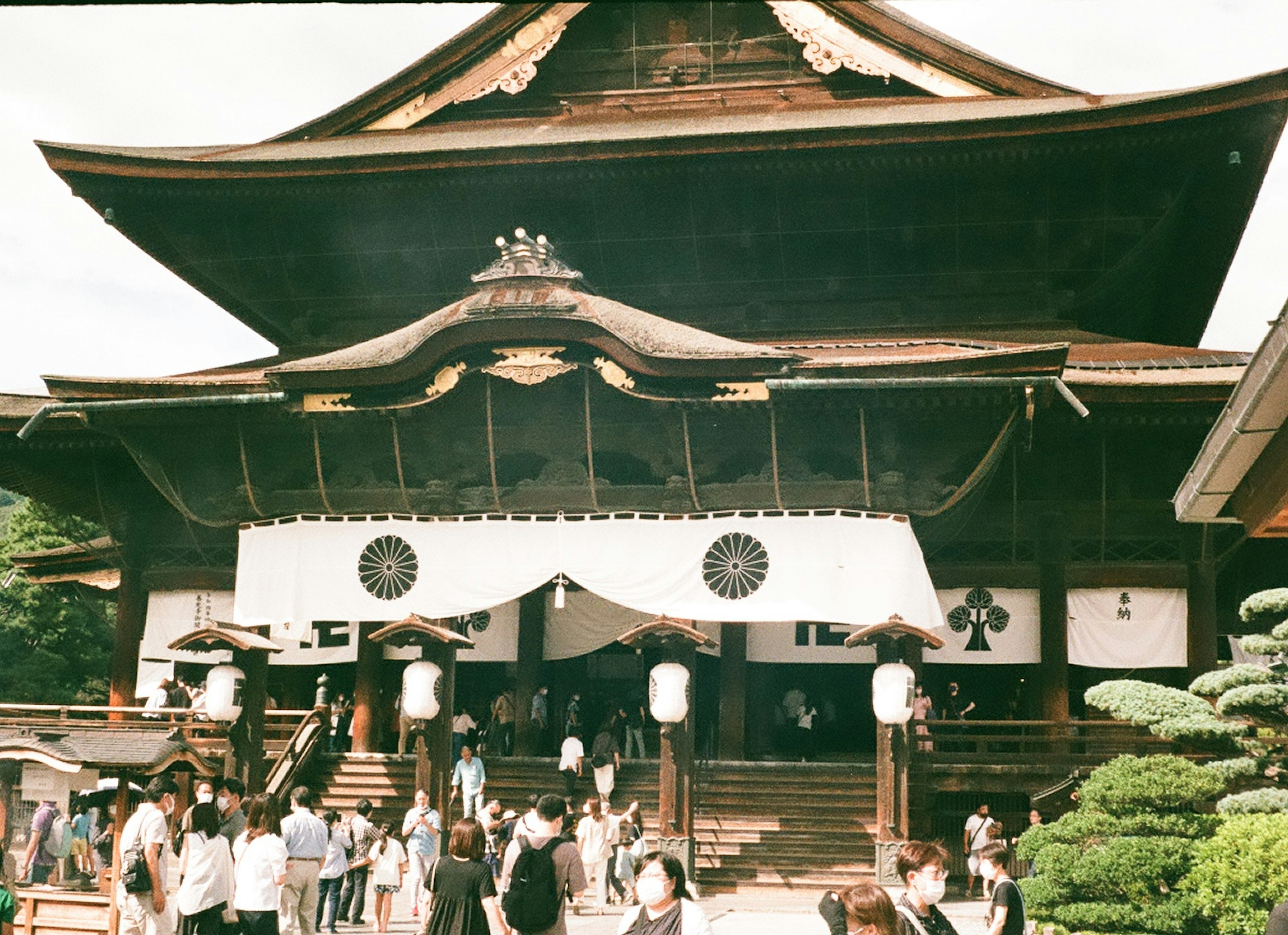 傳統日本寺廟前的遊客人群