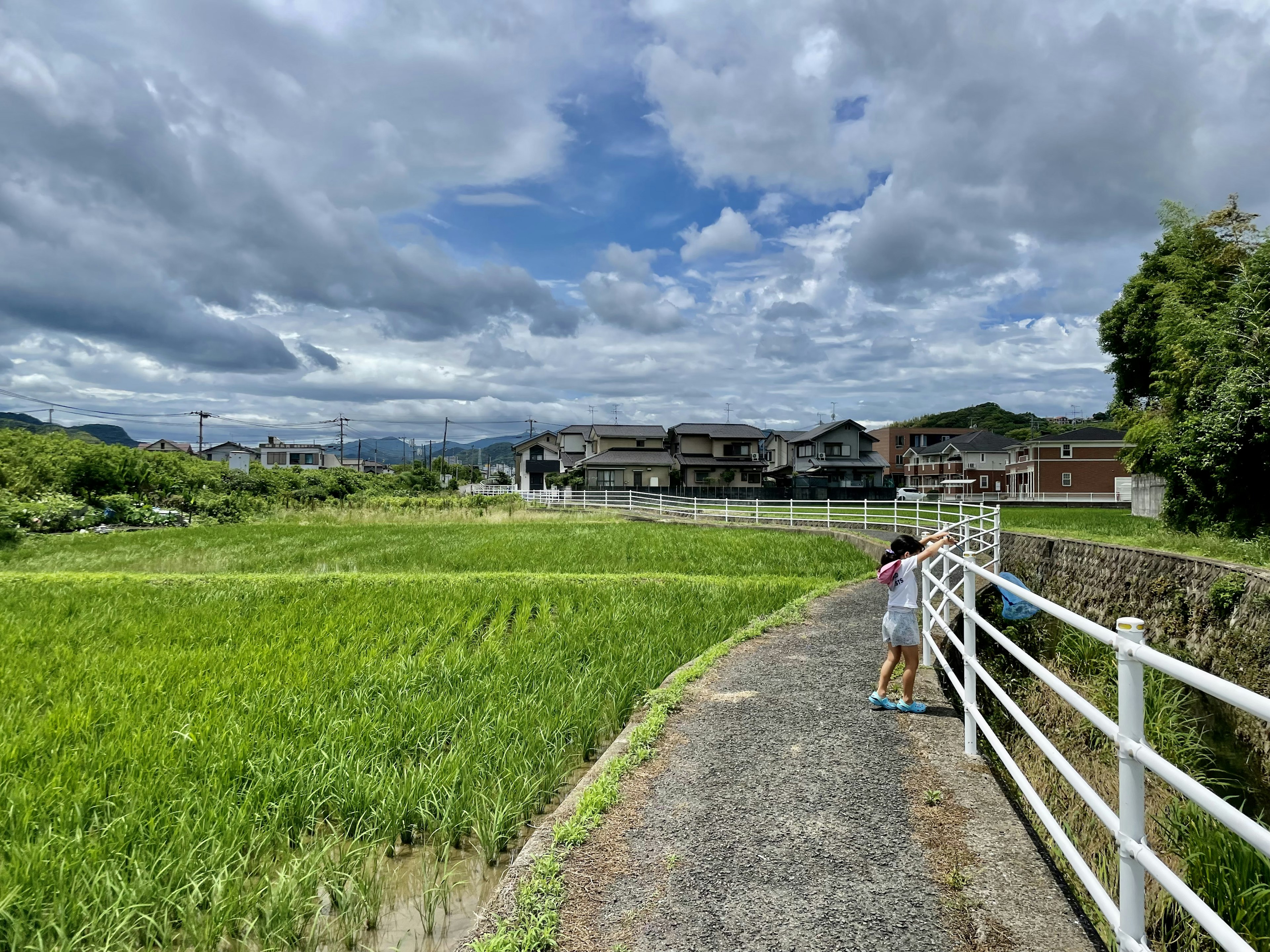 青い空と雲の下の田んぼと小道を歩く子供