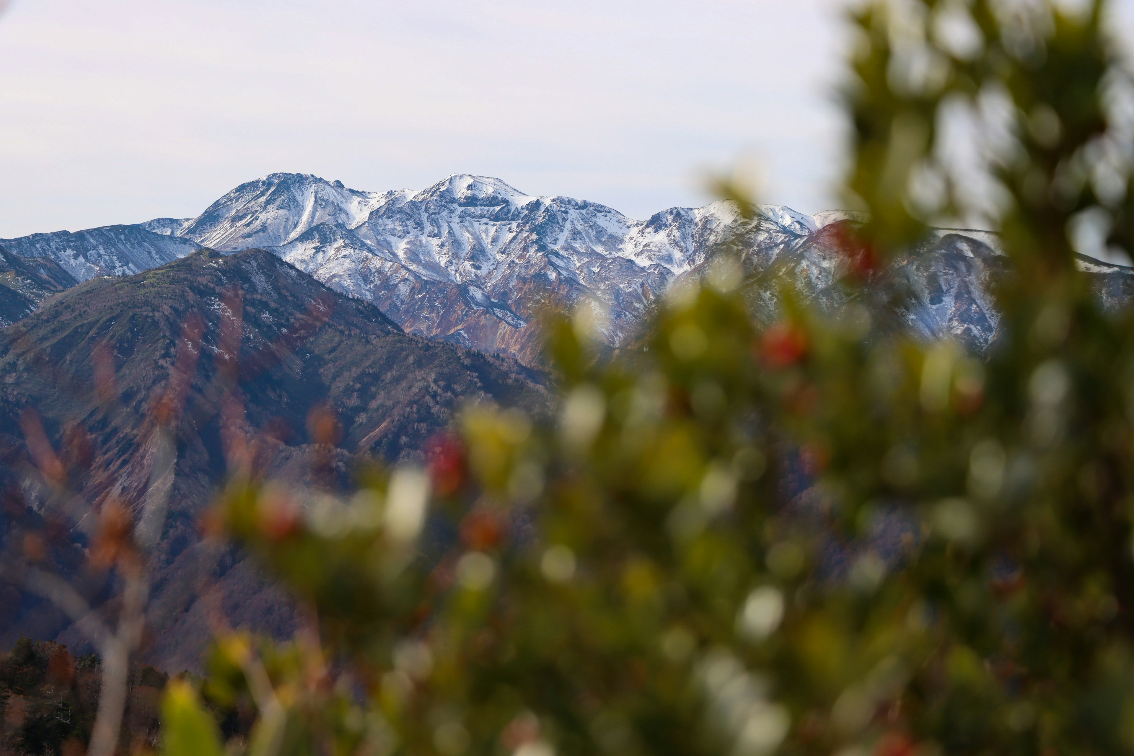 Schneebedeckte Berge mit grünem Laub im Vordergrund