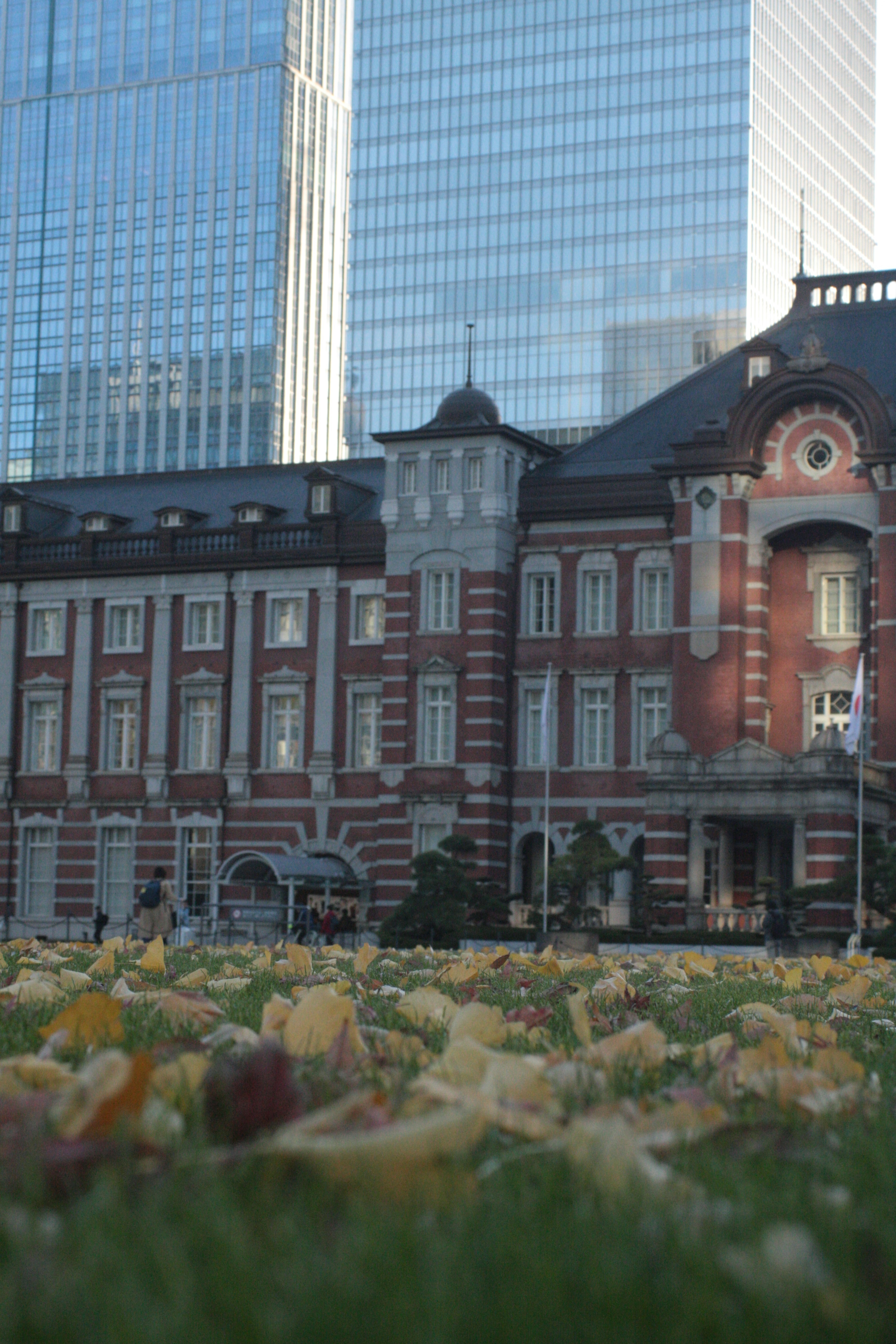 Kontrast zwischen dem historischen Bahnhof Tokio und modernen Wolkenkratzern mit gefallenen Blättern im Vordergrund