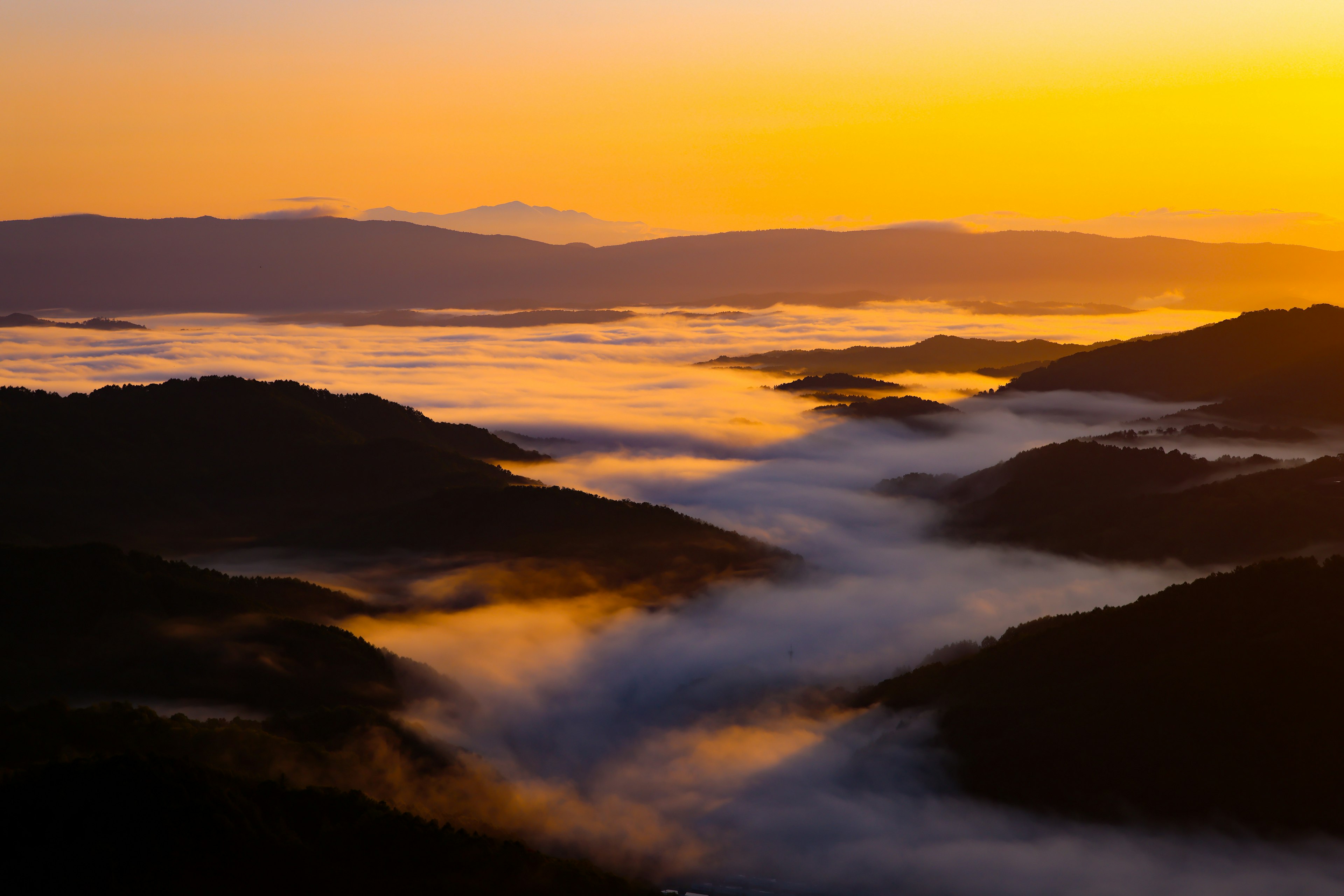 夕日の下に広がる霧の谷と山々の景色