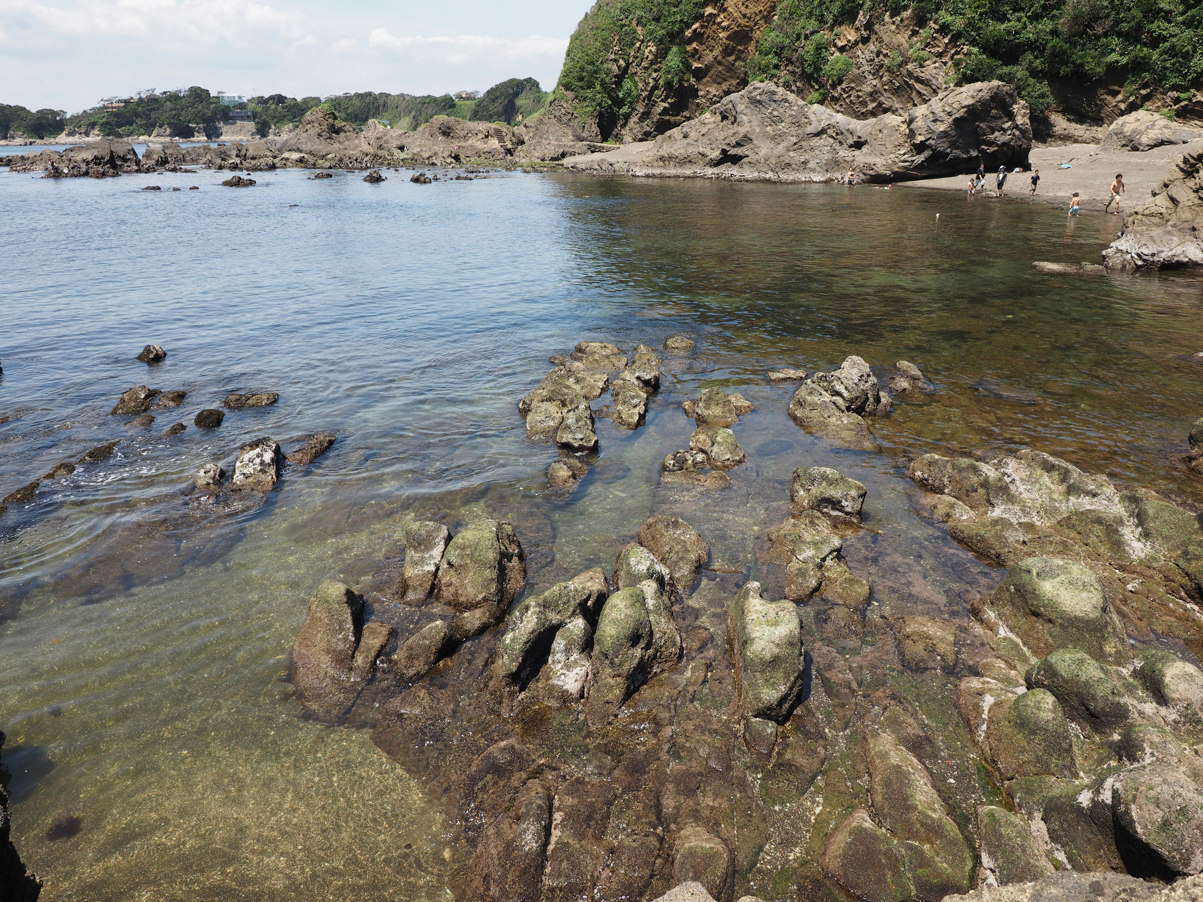 穏やかな海岸の景色 透明な水と岩が見える