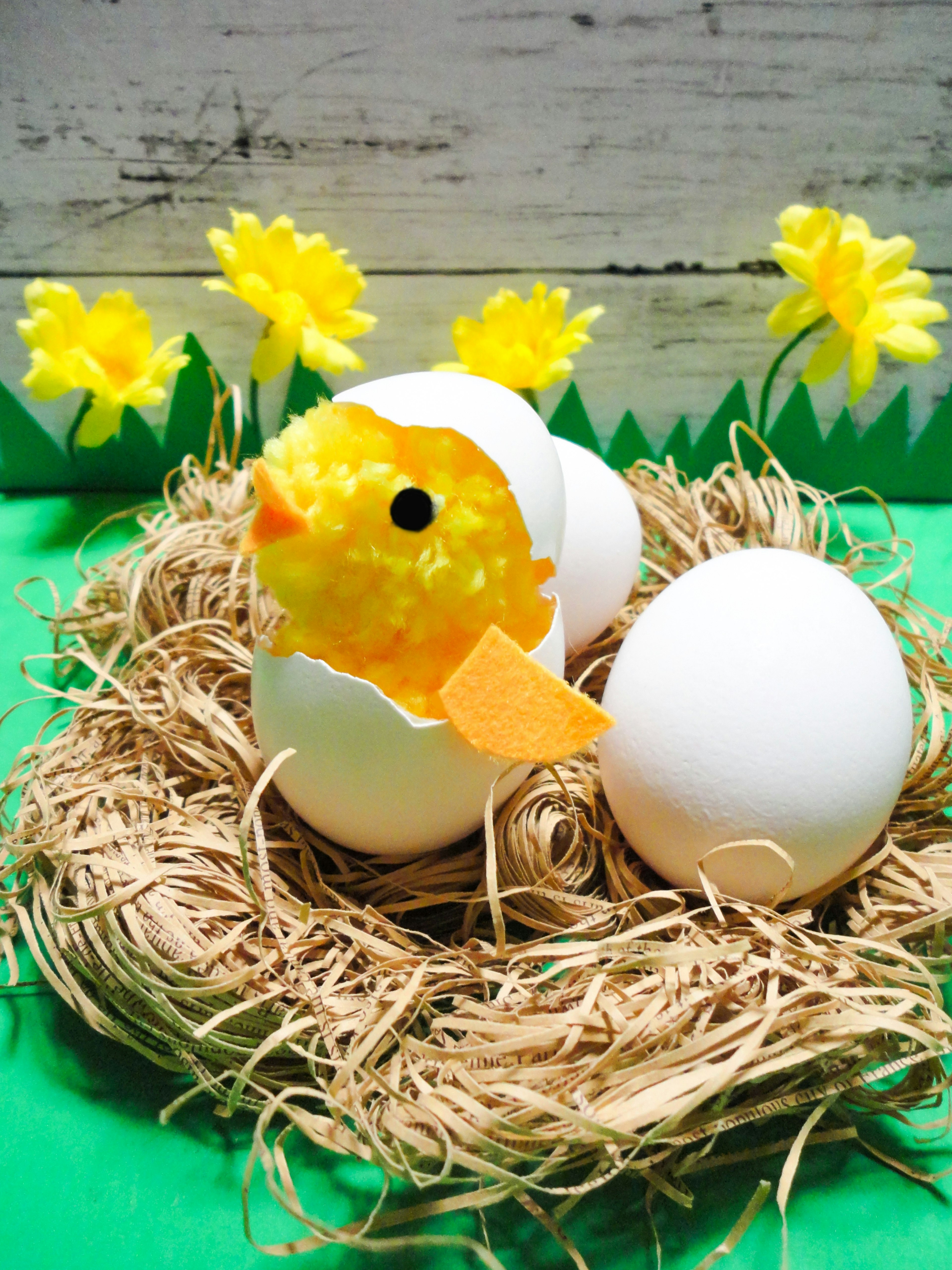 Adegan lucu anak ayam kuning menetas dari telur dengan bunga kuning di latar belakang